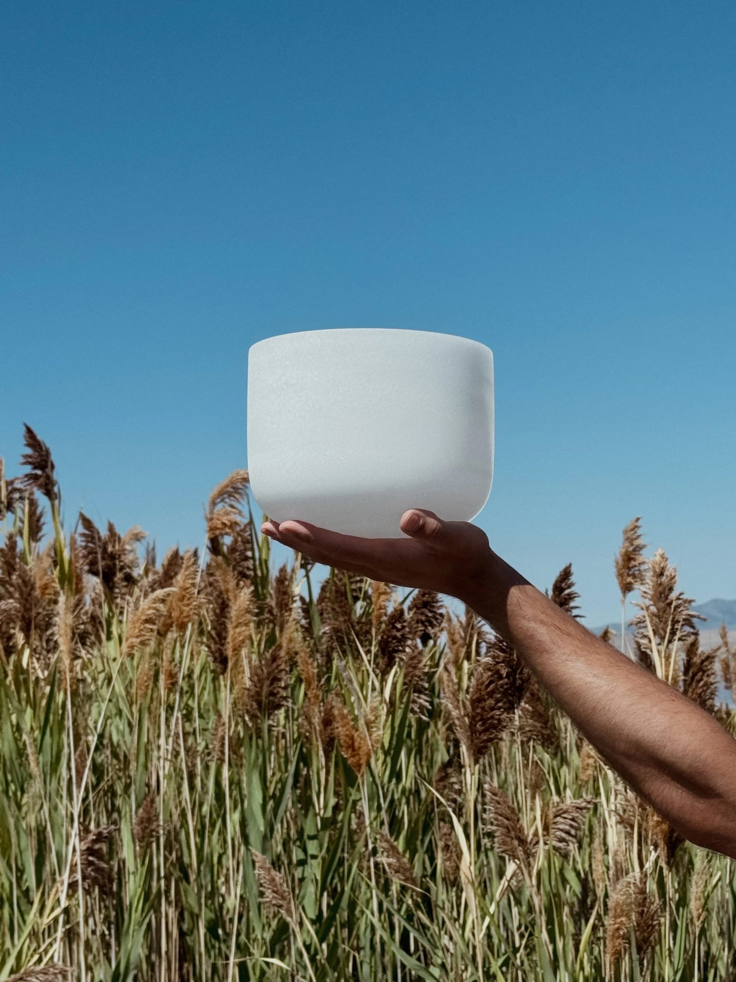 A person holding a white frosted crystal singing bowl object in a field of tall, brownish grass under clear blue sky.