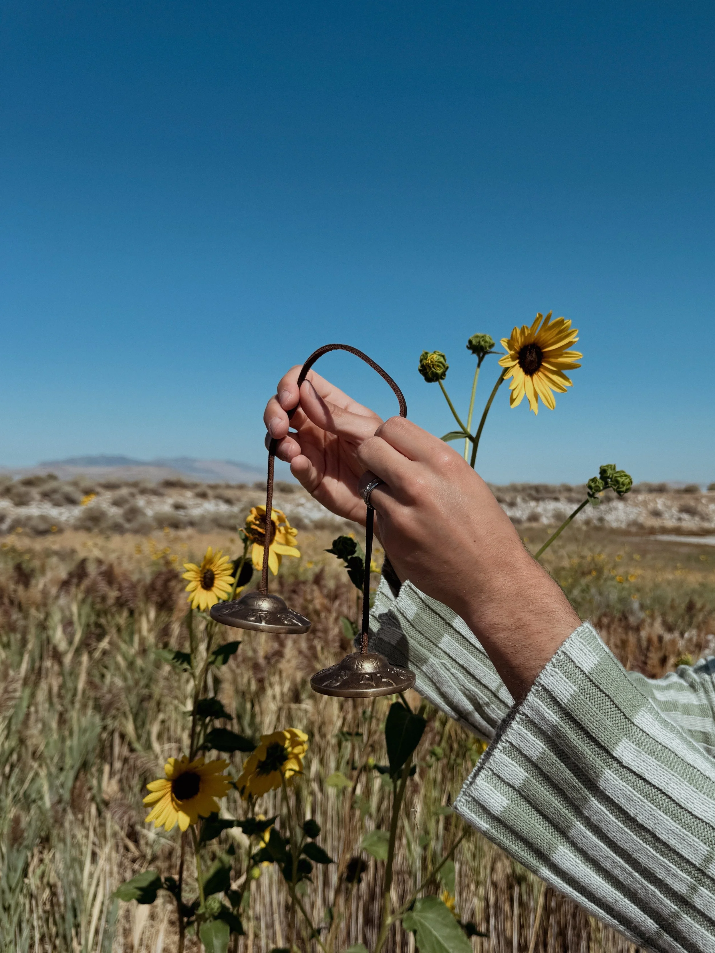 A person's hand holding a pair of small metallic cymbals in a yellow sunflower field with a clear blue sky in the background.