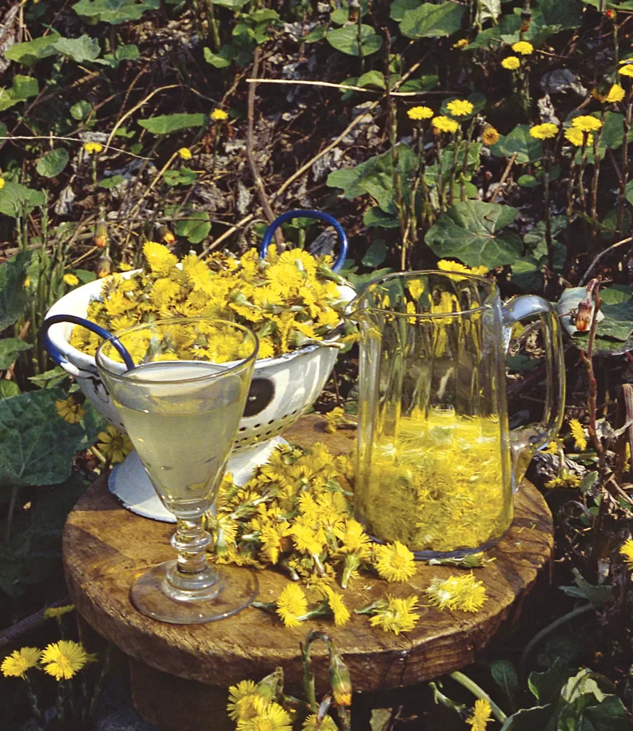Coltsfoot Wine (vegan)