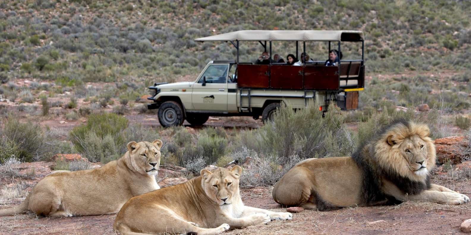 aquila-private-game-reserve.jpg