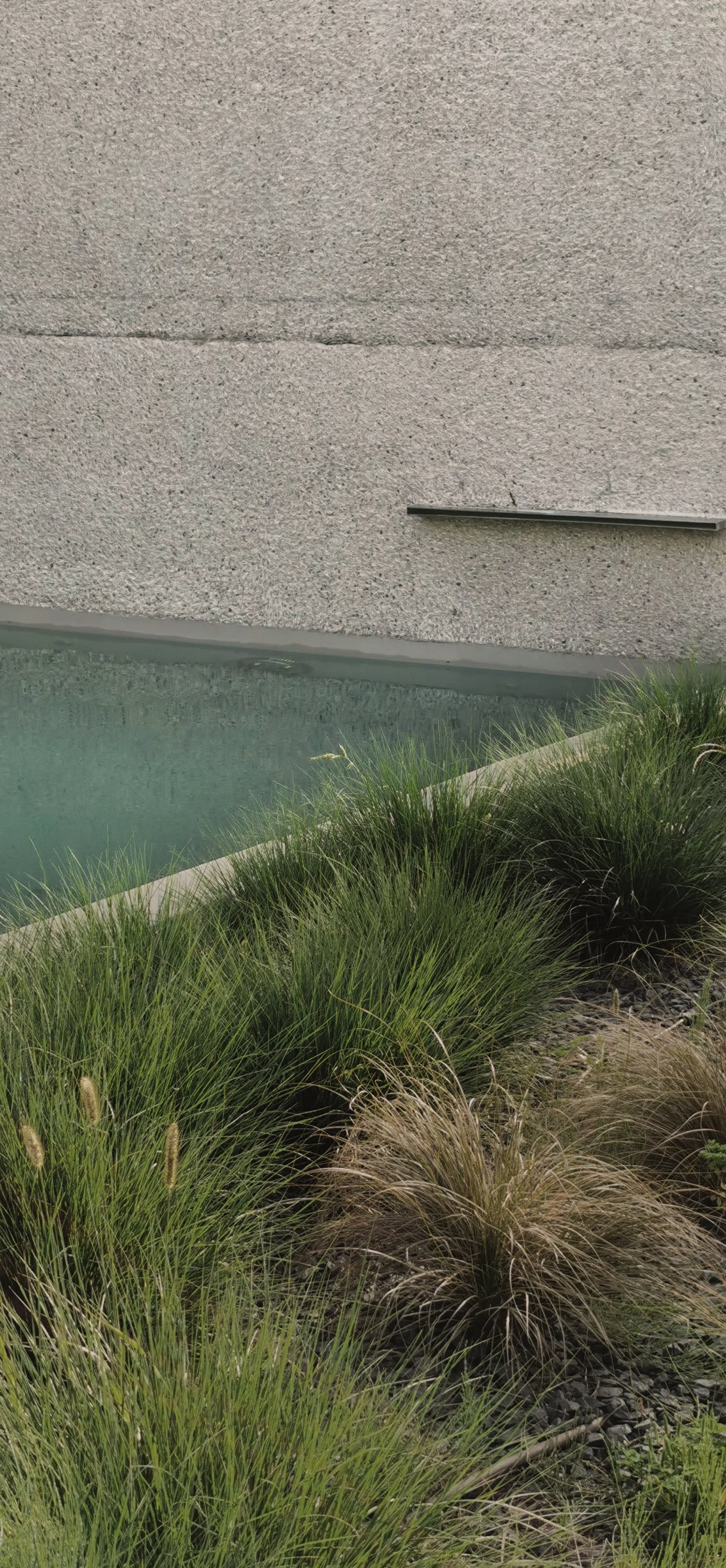 swimmin pool.jpg