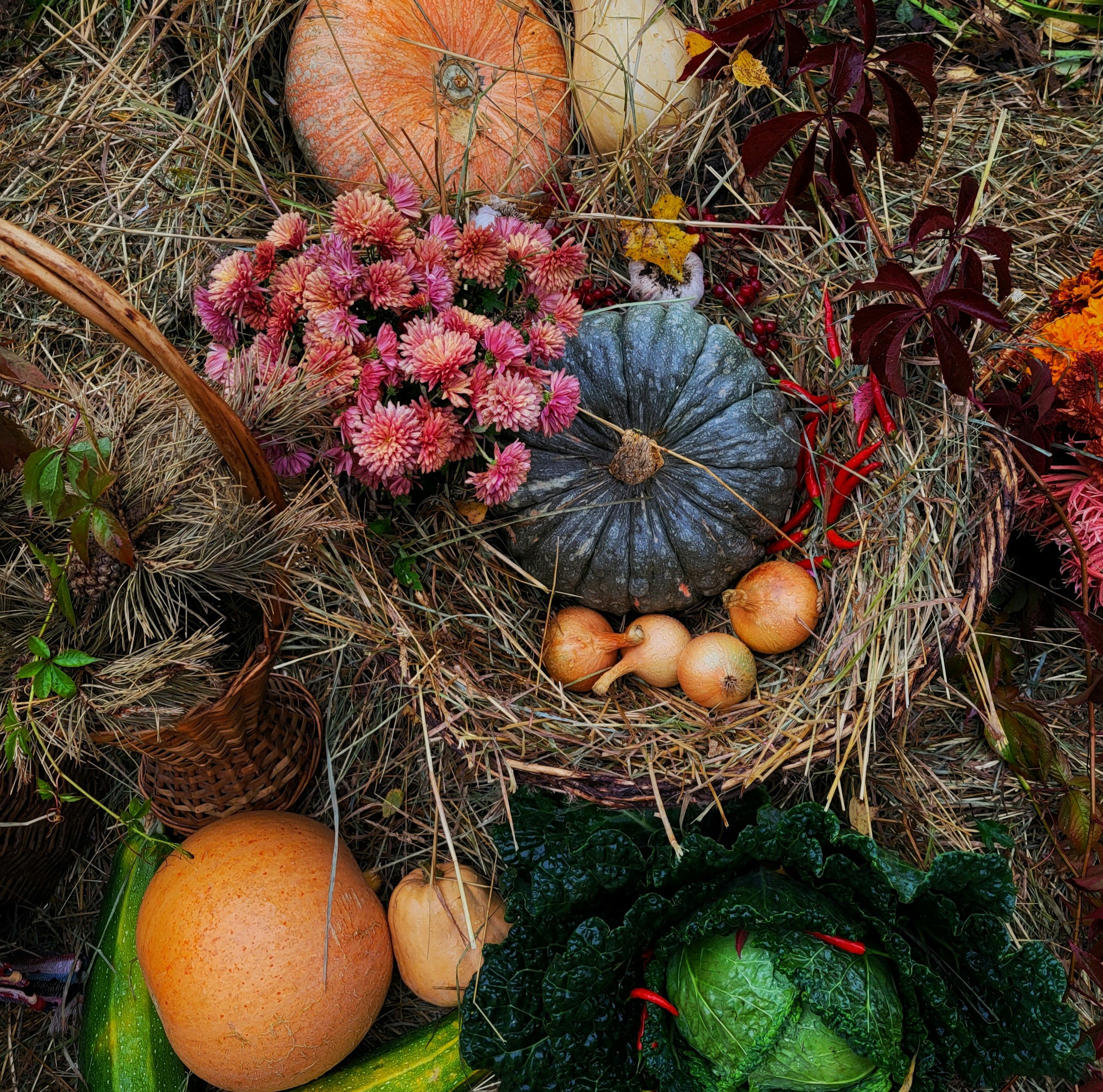Autumn Fayre