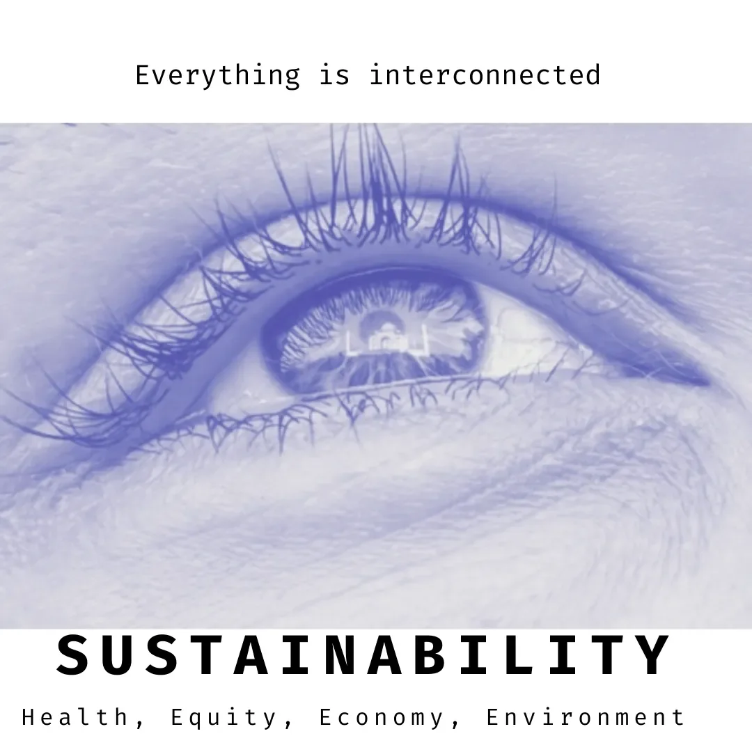Sustainability, the interconnection of everything