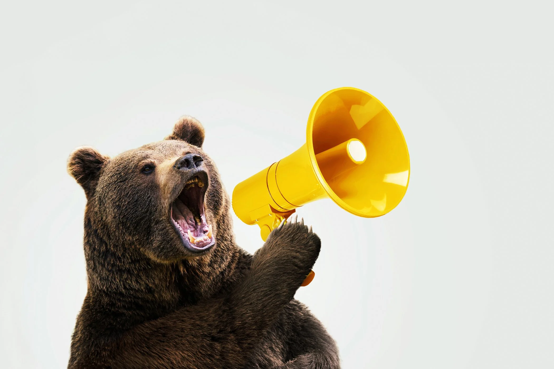 Finding Your Voice