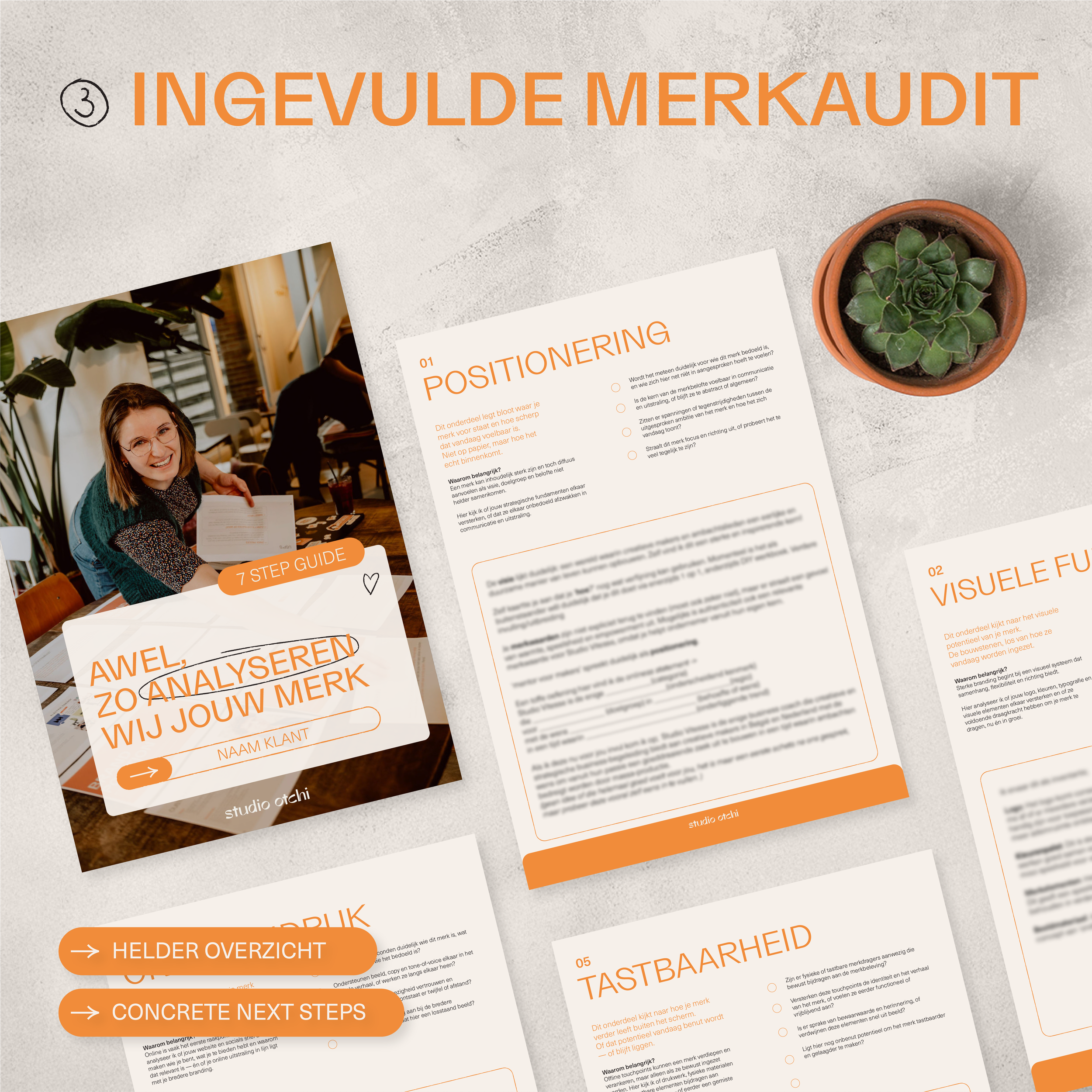 ingevulde merkaudit.png