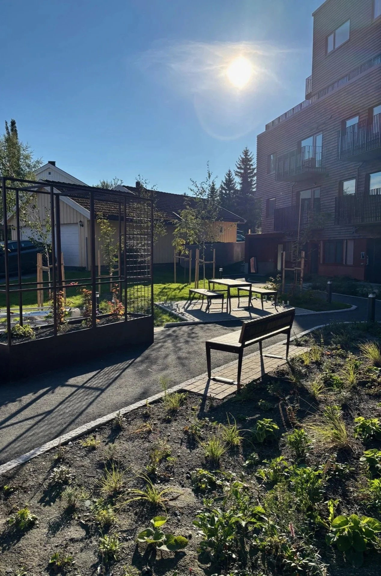 Spesialplantekasse med espalier