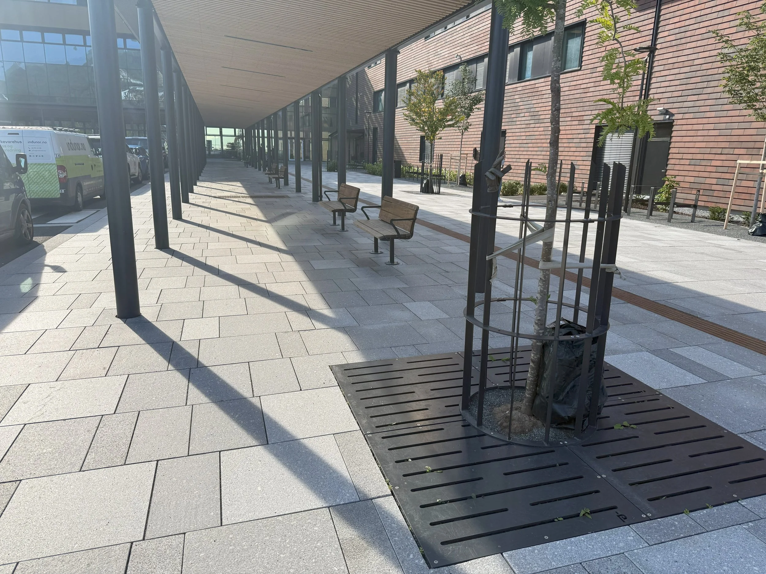 AVENTE tregruberist og stammevern
