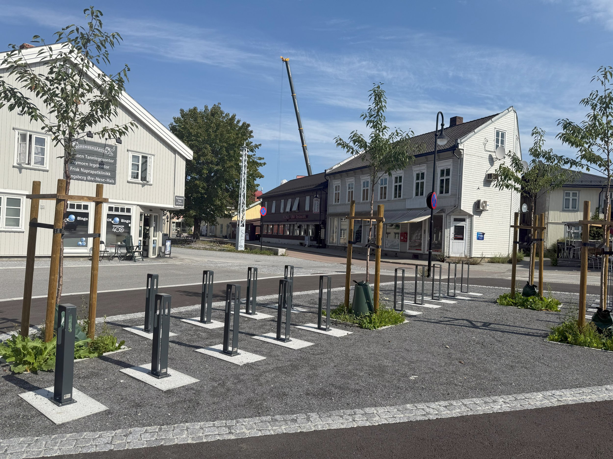 33 sykkelstativ, fotplate