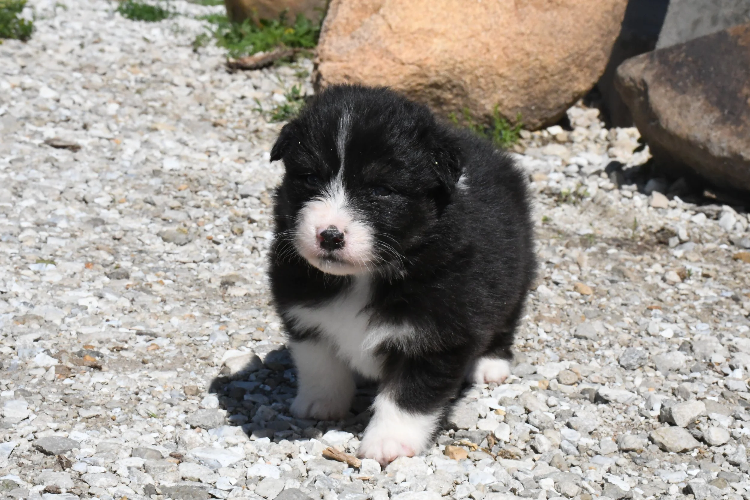 DSC_3643.JPG
