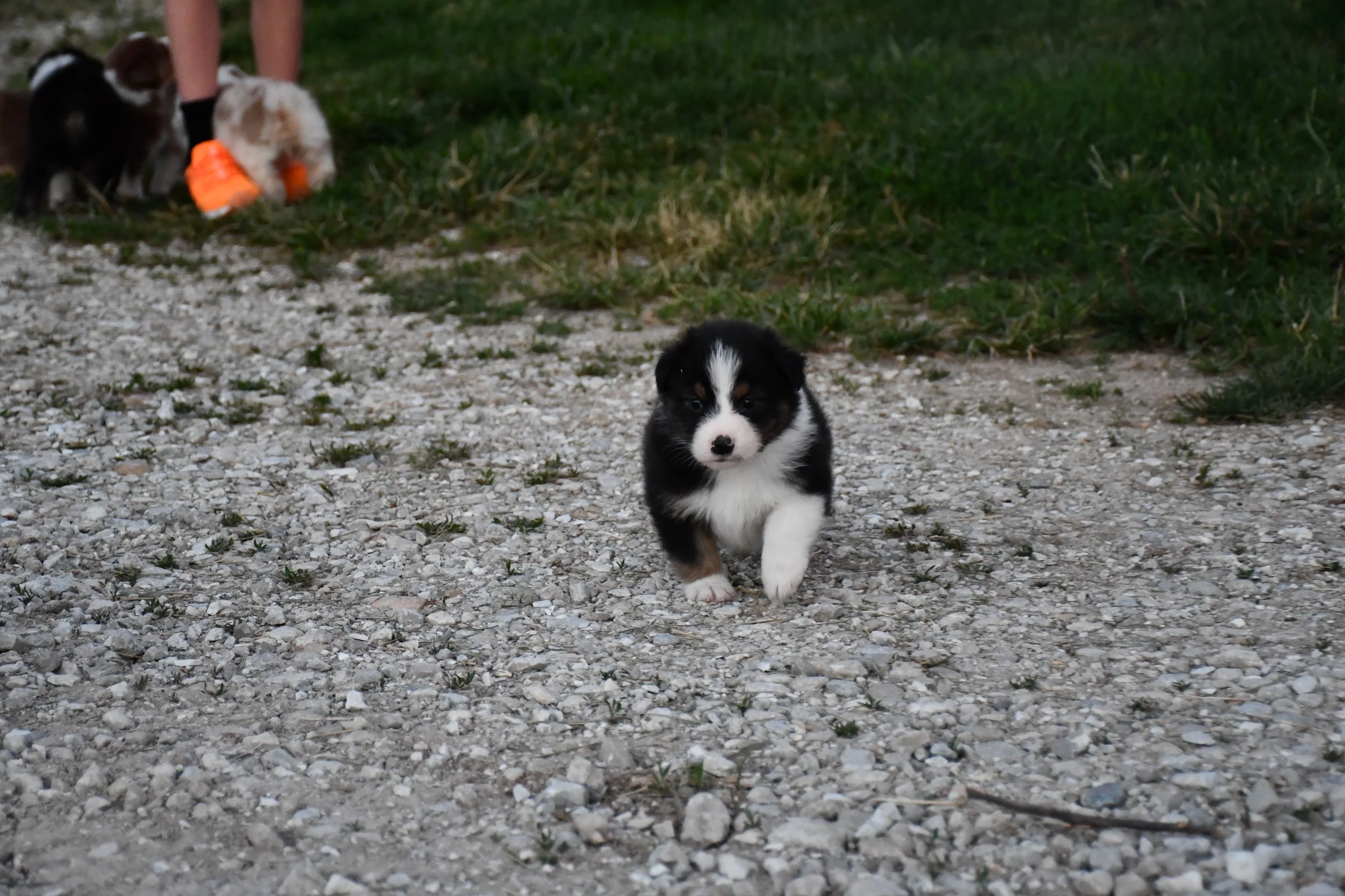 DSC_3910.JPG