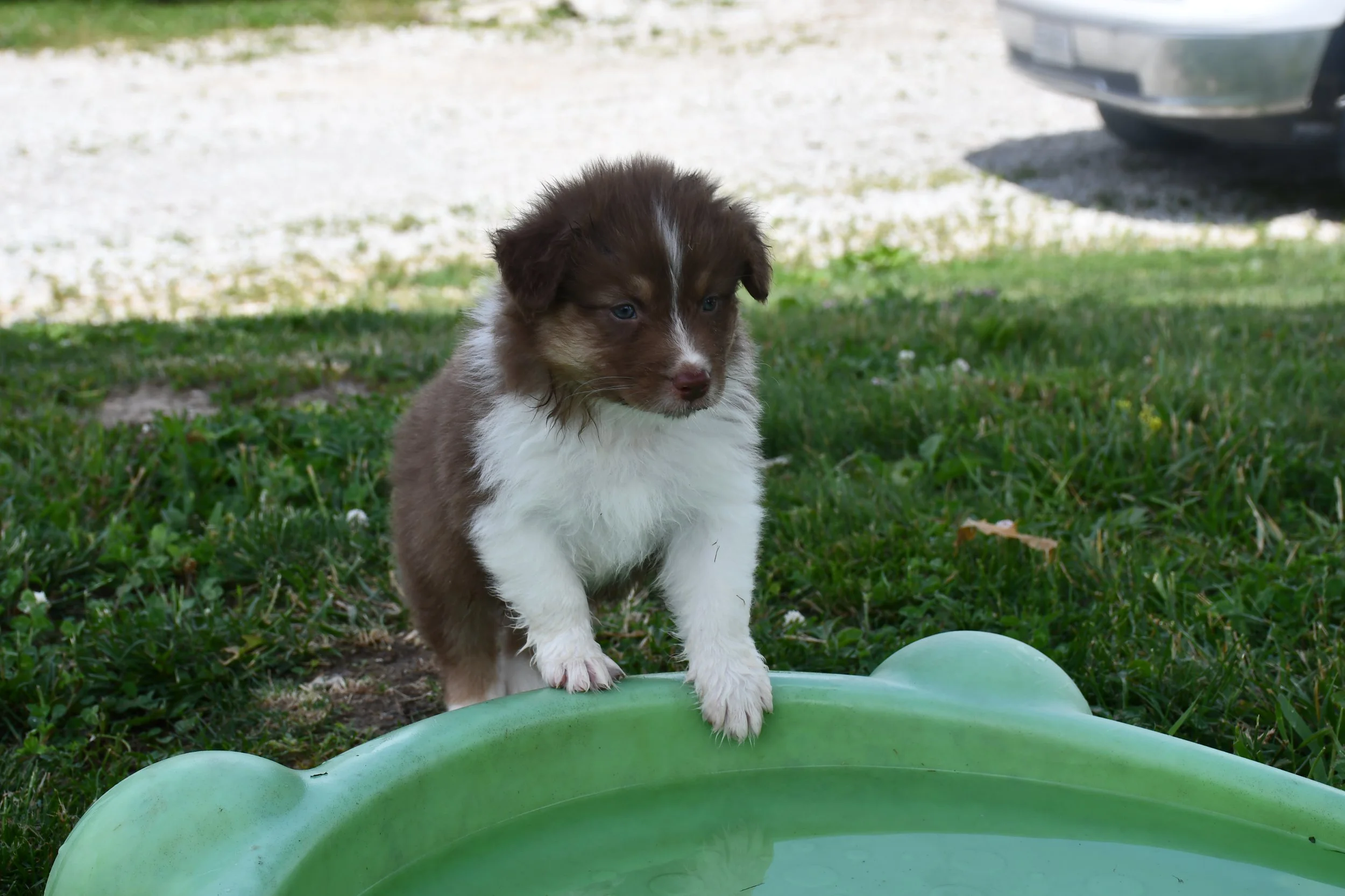 DSC_4454.JPG