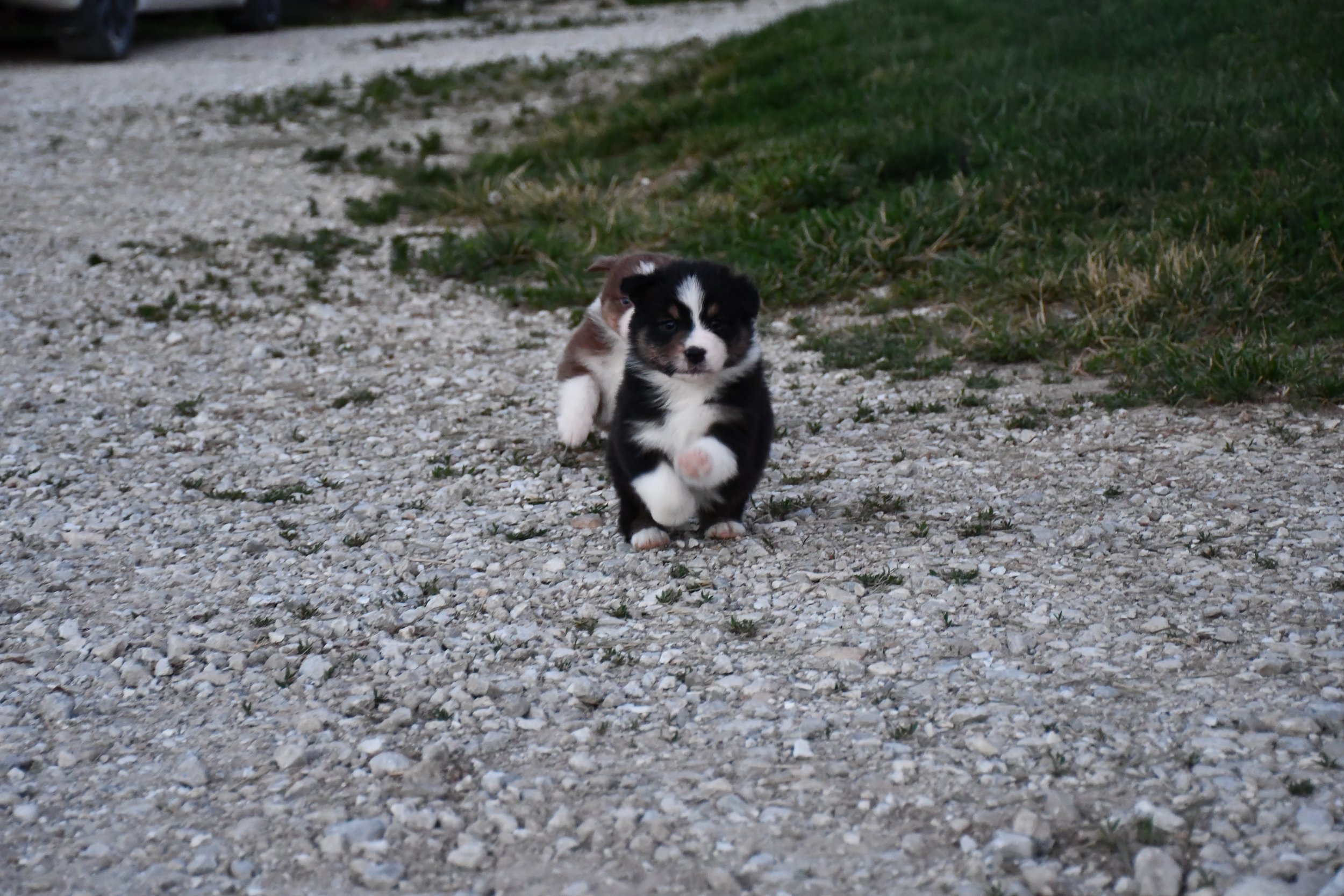 DSC_3916.JPG