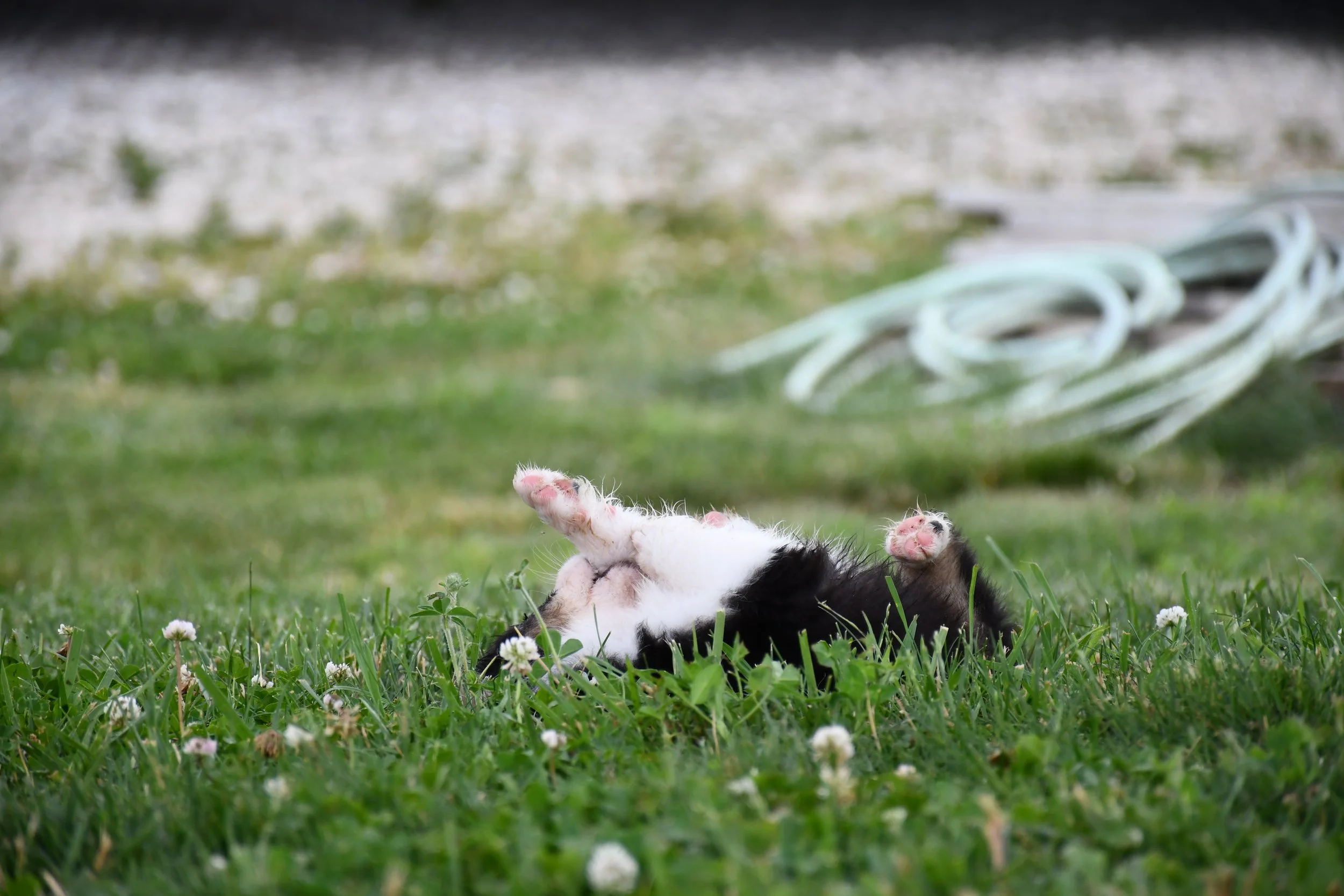 DSC_4545.JPG