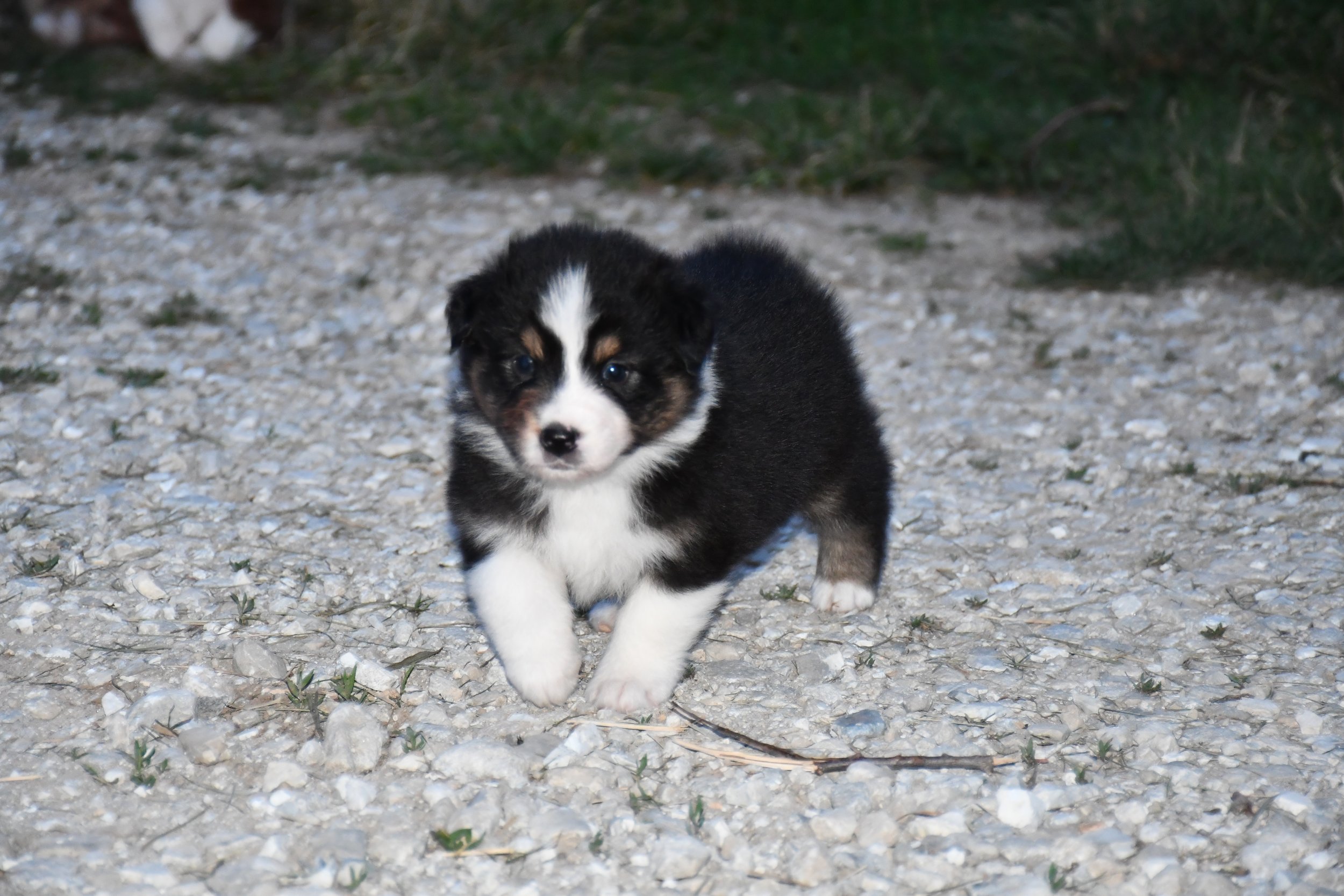 DSC_3947.JPG