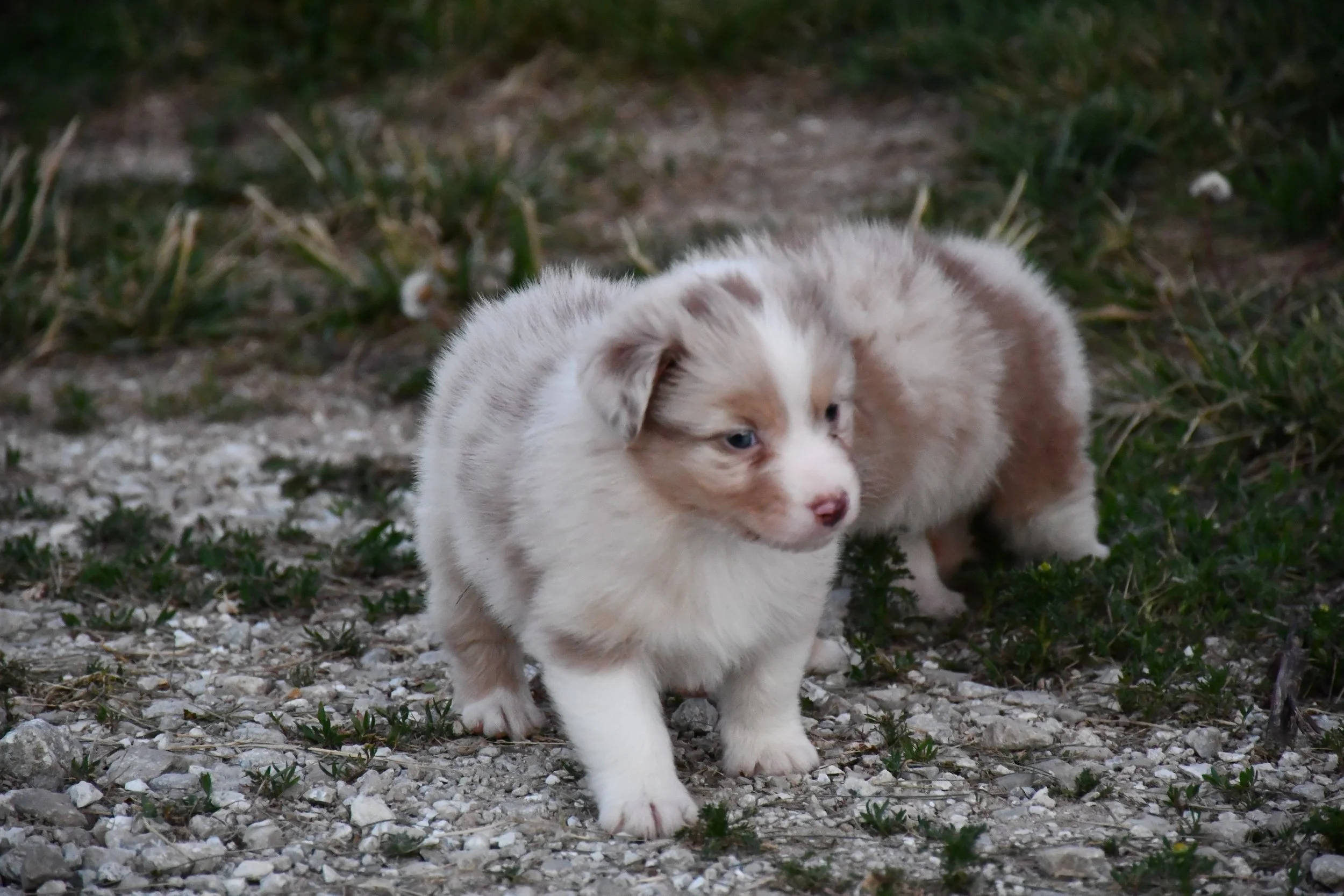 DSC_3894.JPG