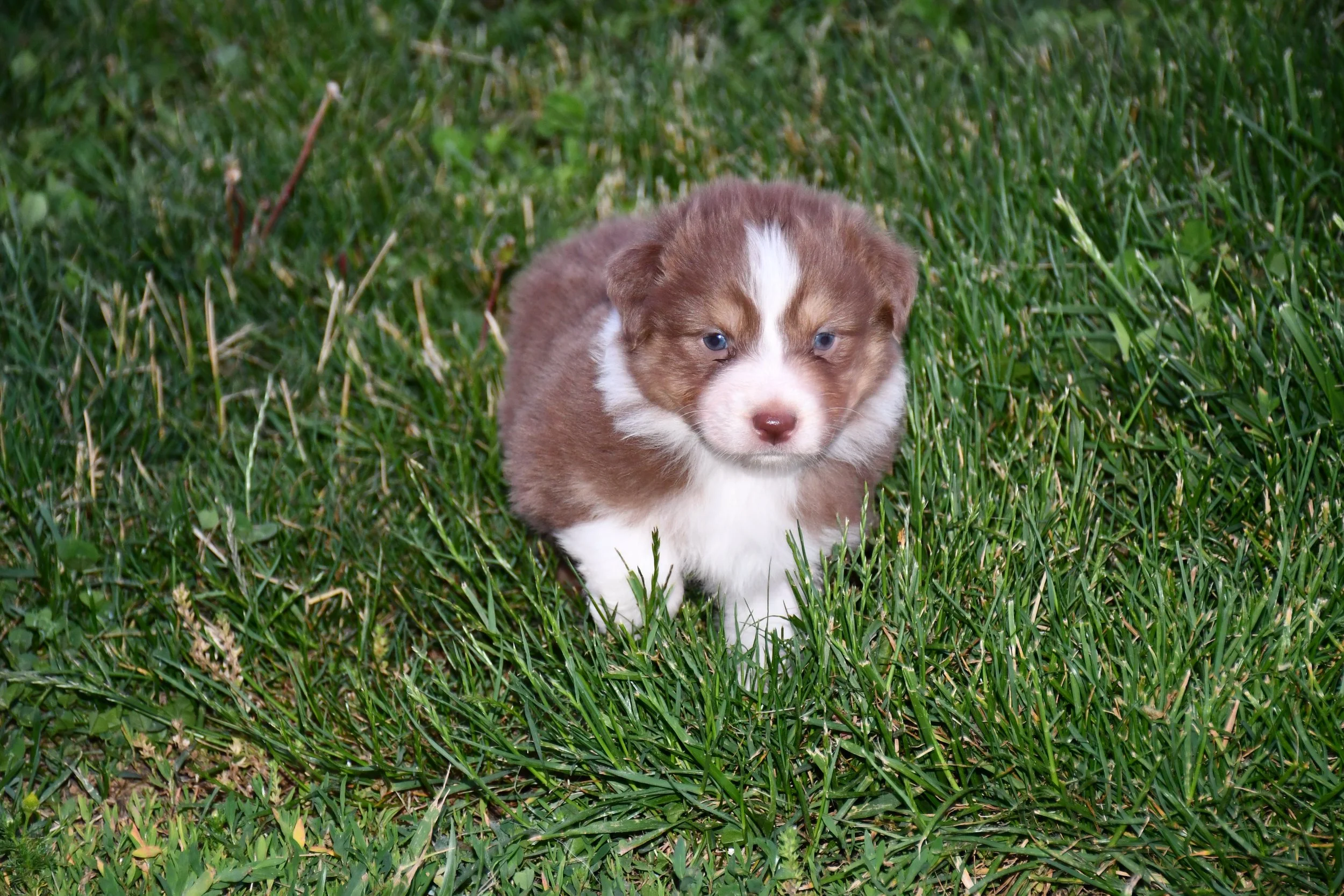 DSC_3859.JPG