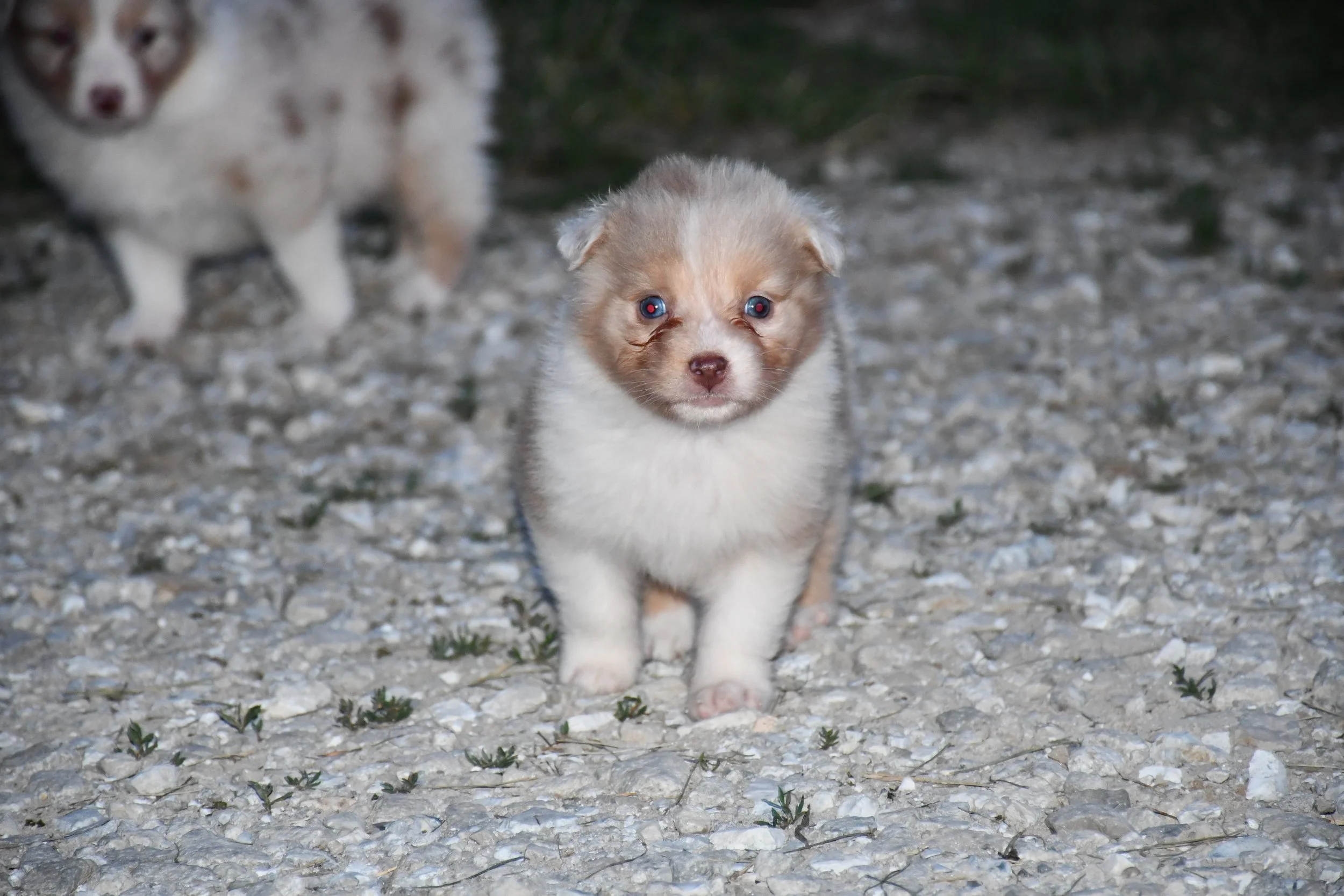 DSC_3950.JPG