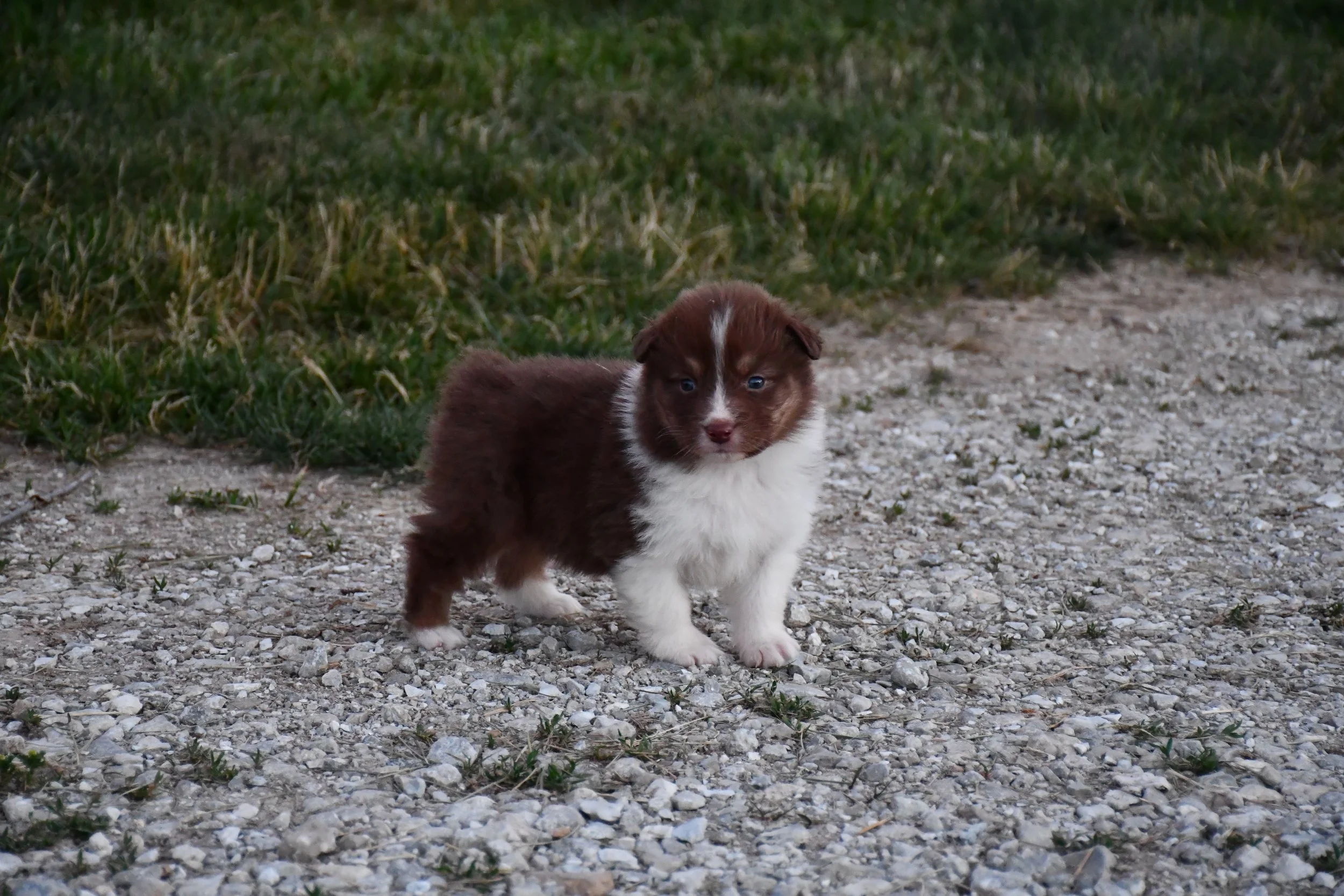 DSC_3878.JPG