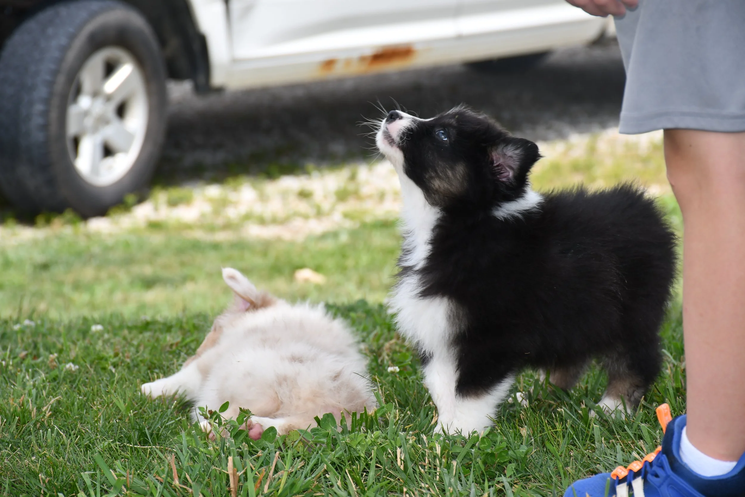DSC_4566.JPG