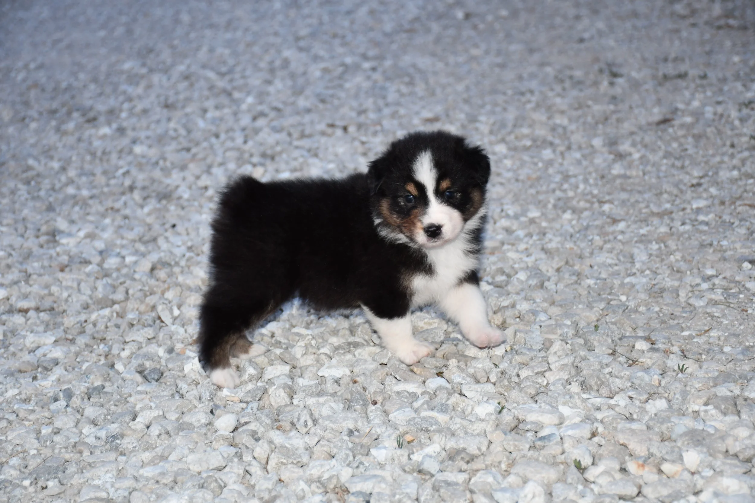 DSC_3929.JPG