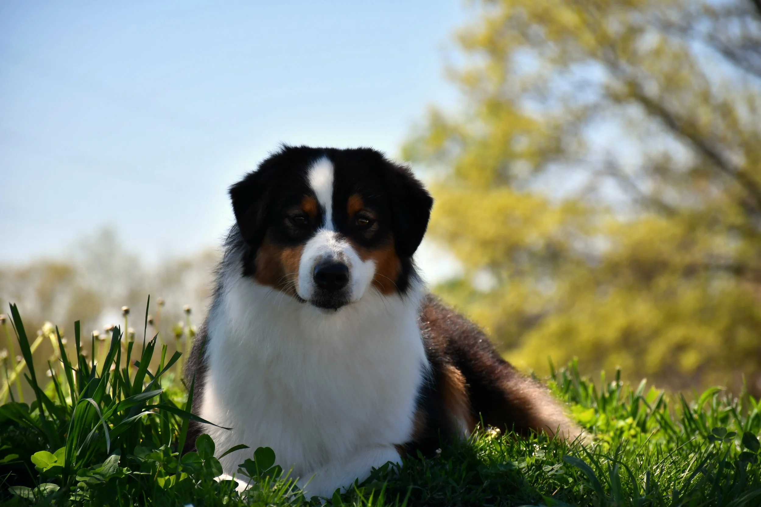 DSC_2451.JPG