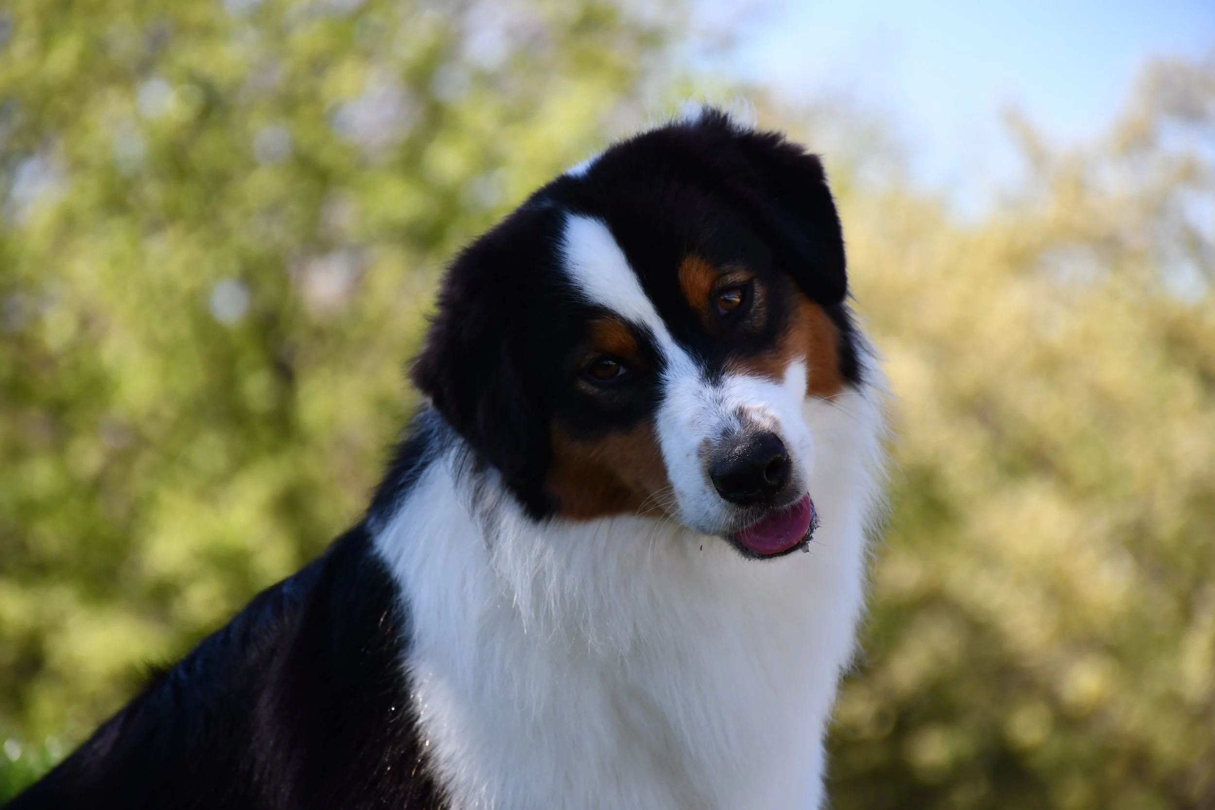 DSC_2443.JPG