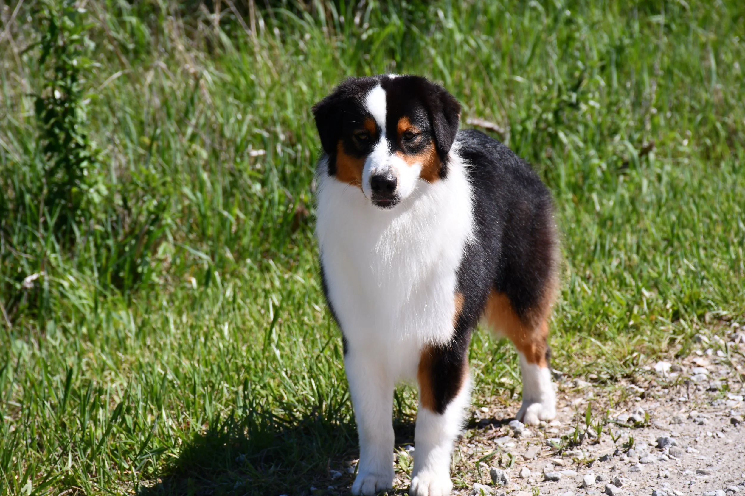 DSC_2493.JPG