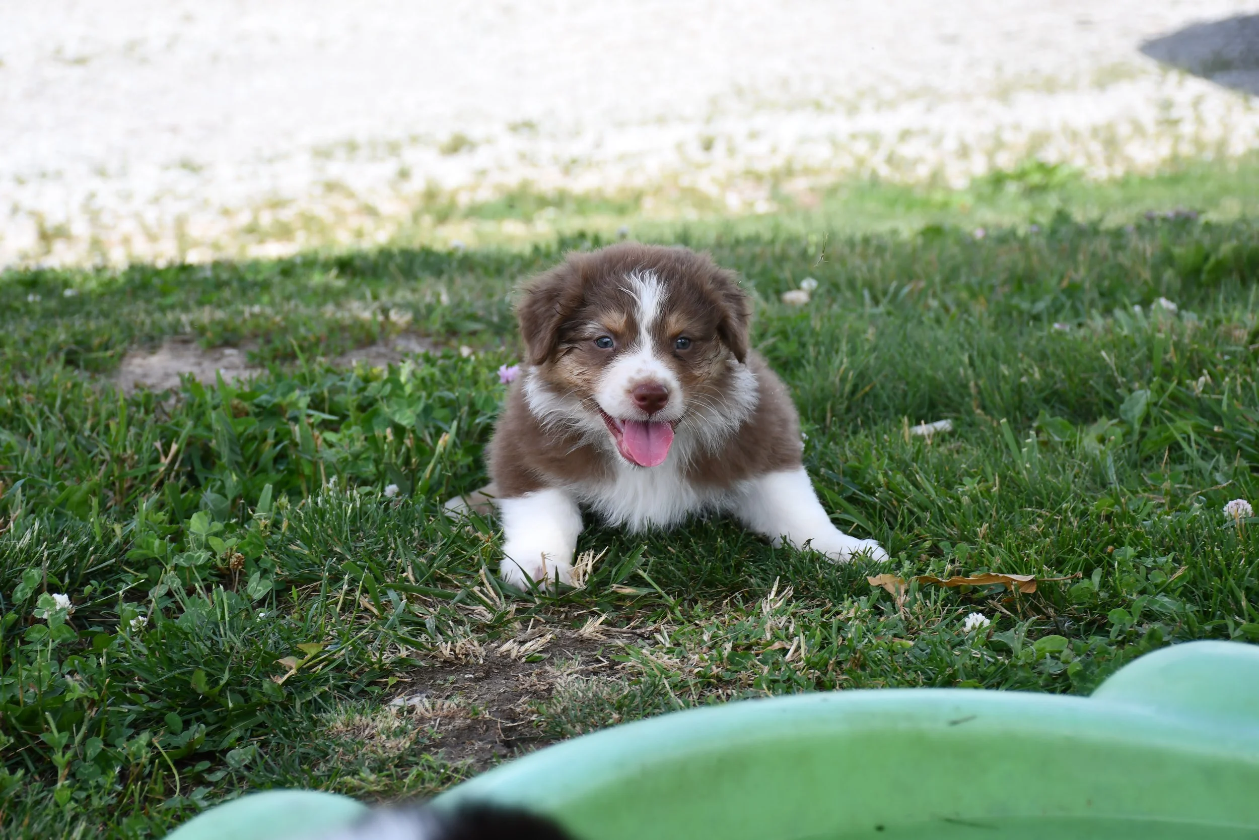 DSC_4480.JPG