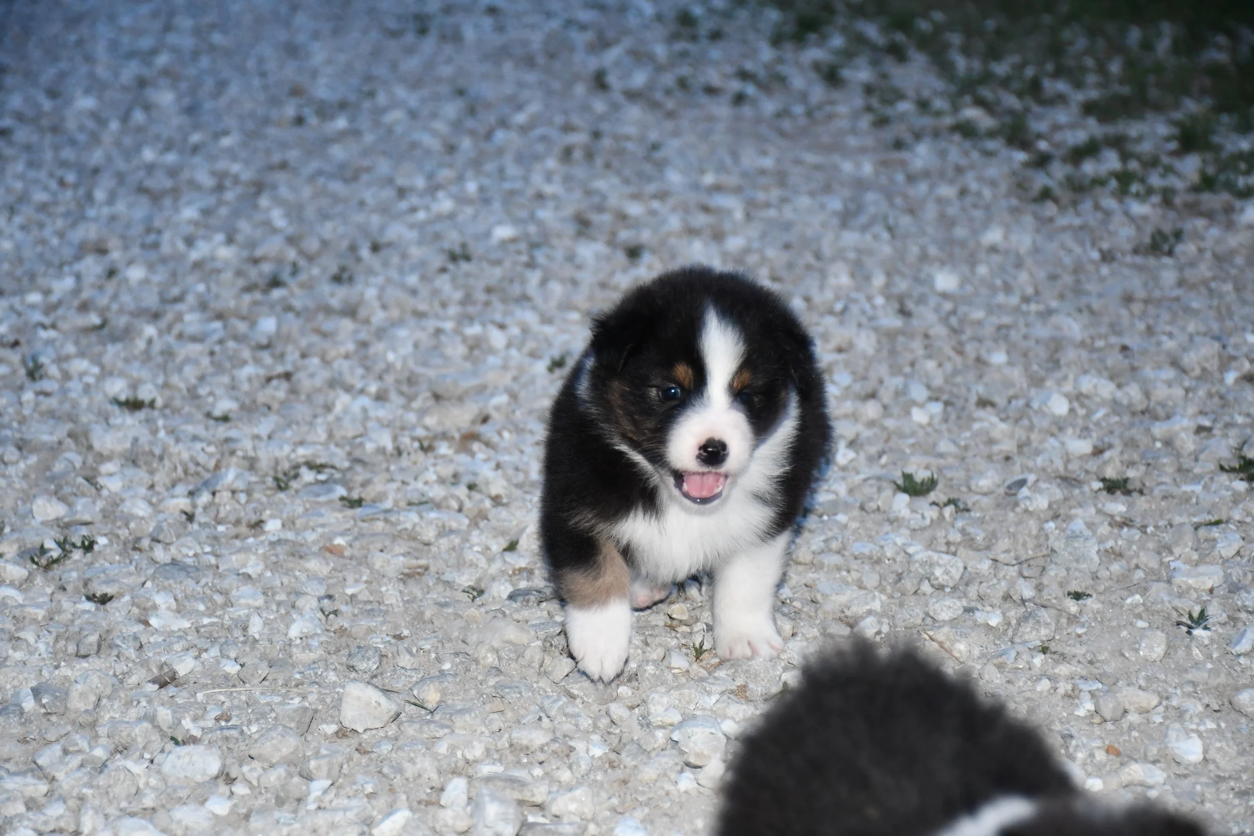 DSC_3948.JPG