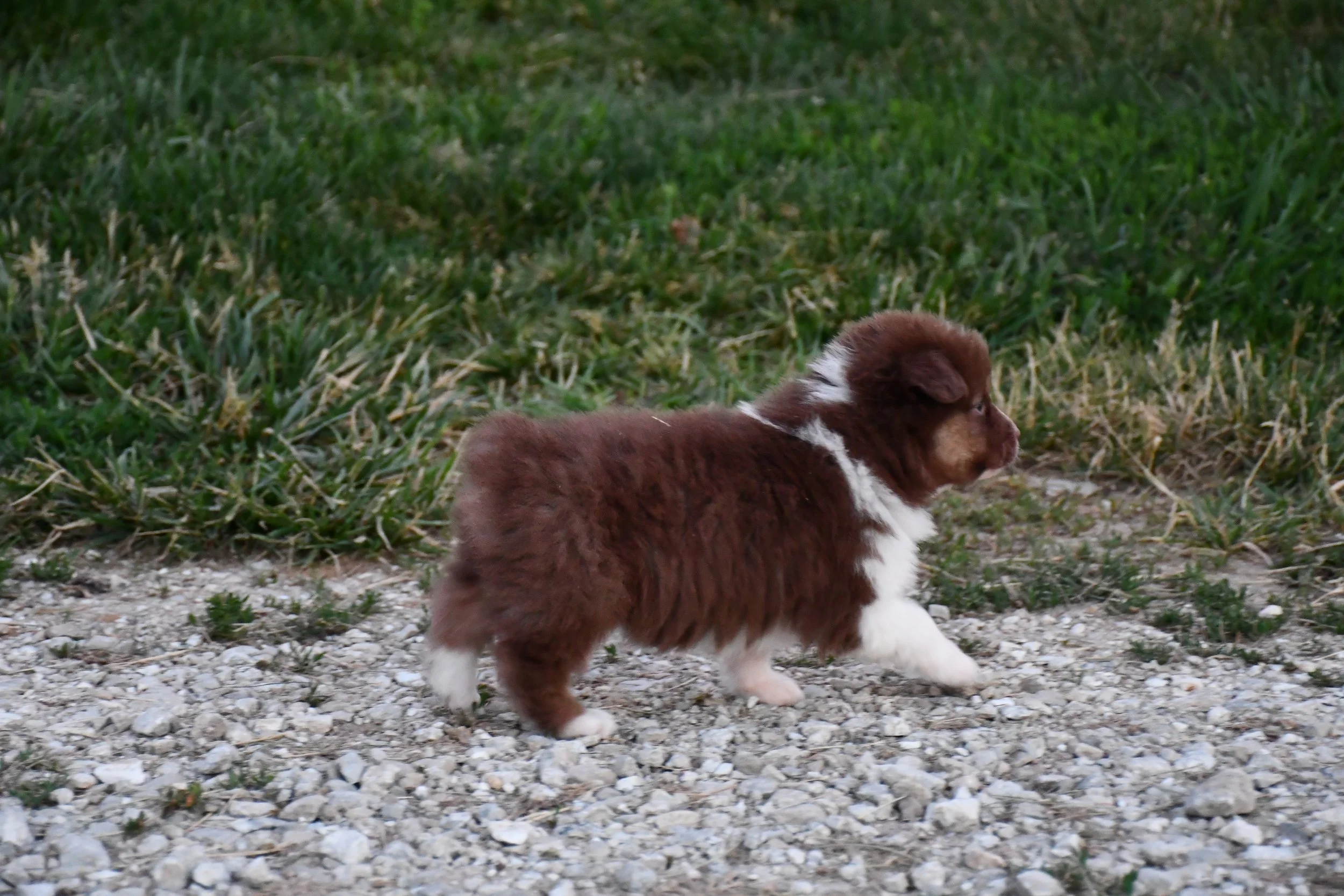 DSC_3875.JPG