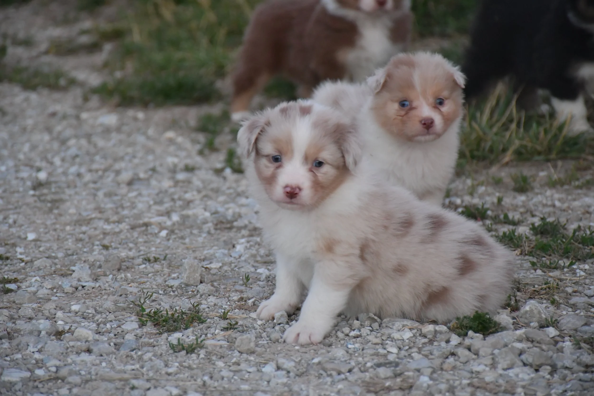 DSC_3880.JPG