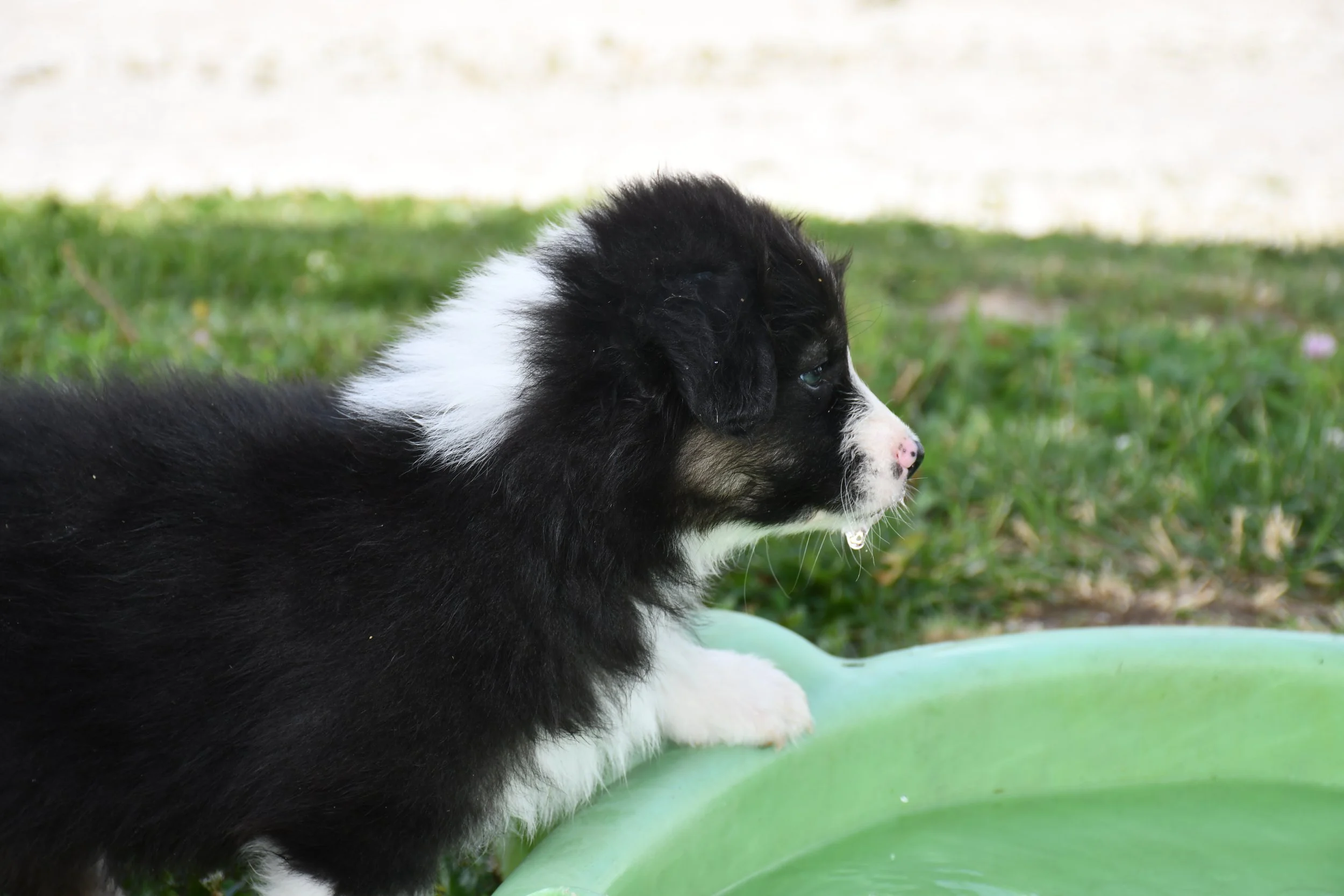 DSC_4492.JPG