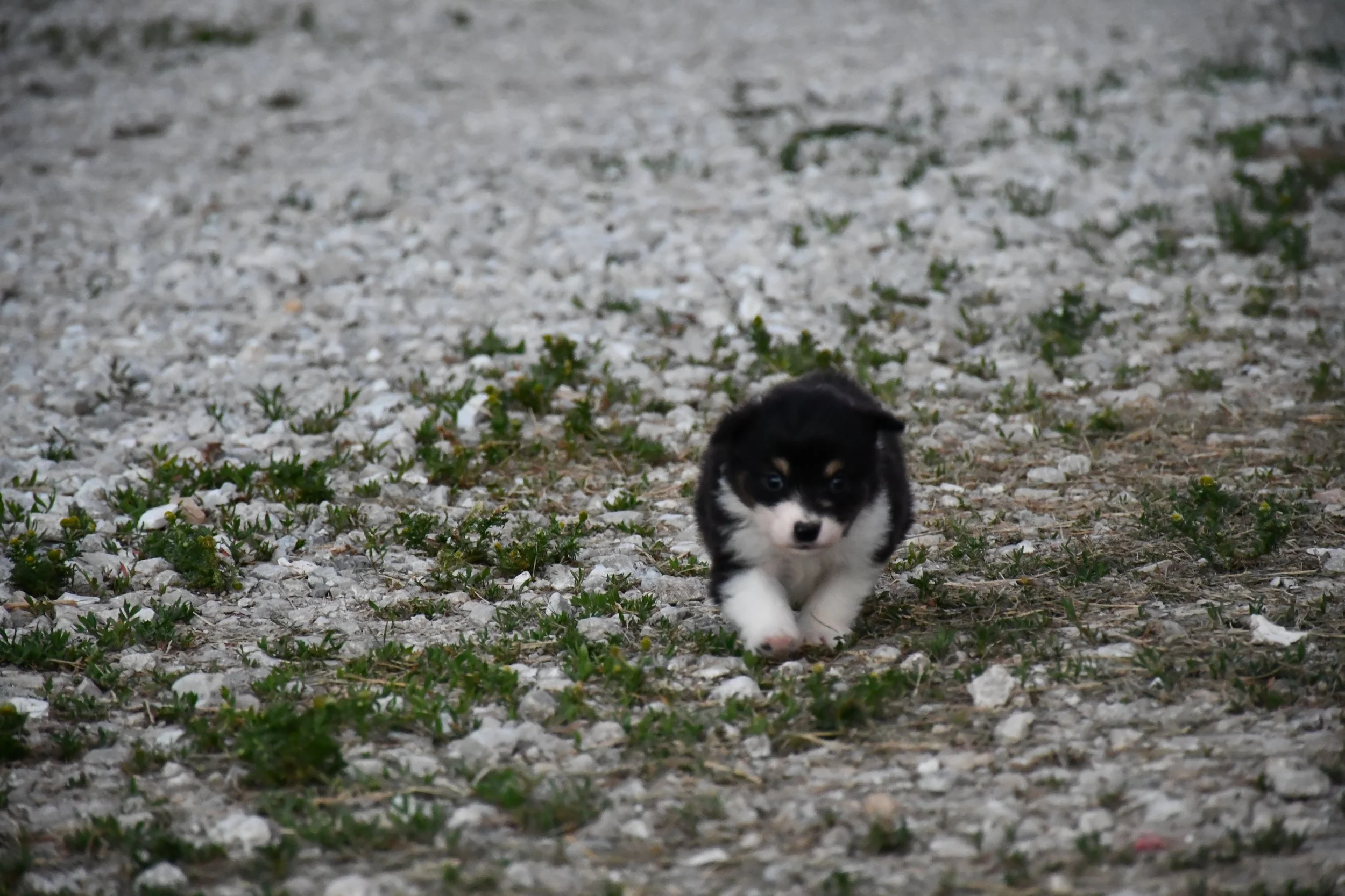 DSC_3872.JPG