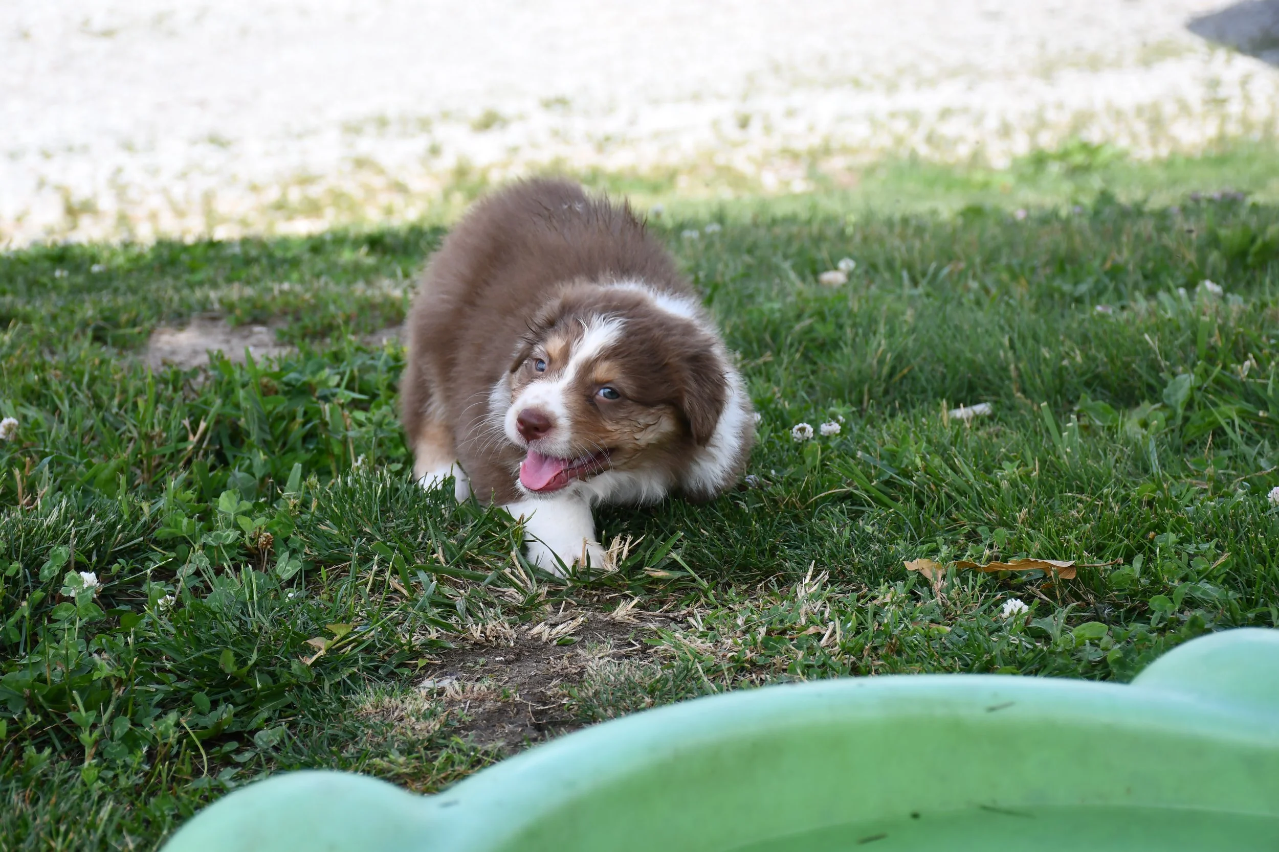 DSC_4479.JPG