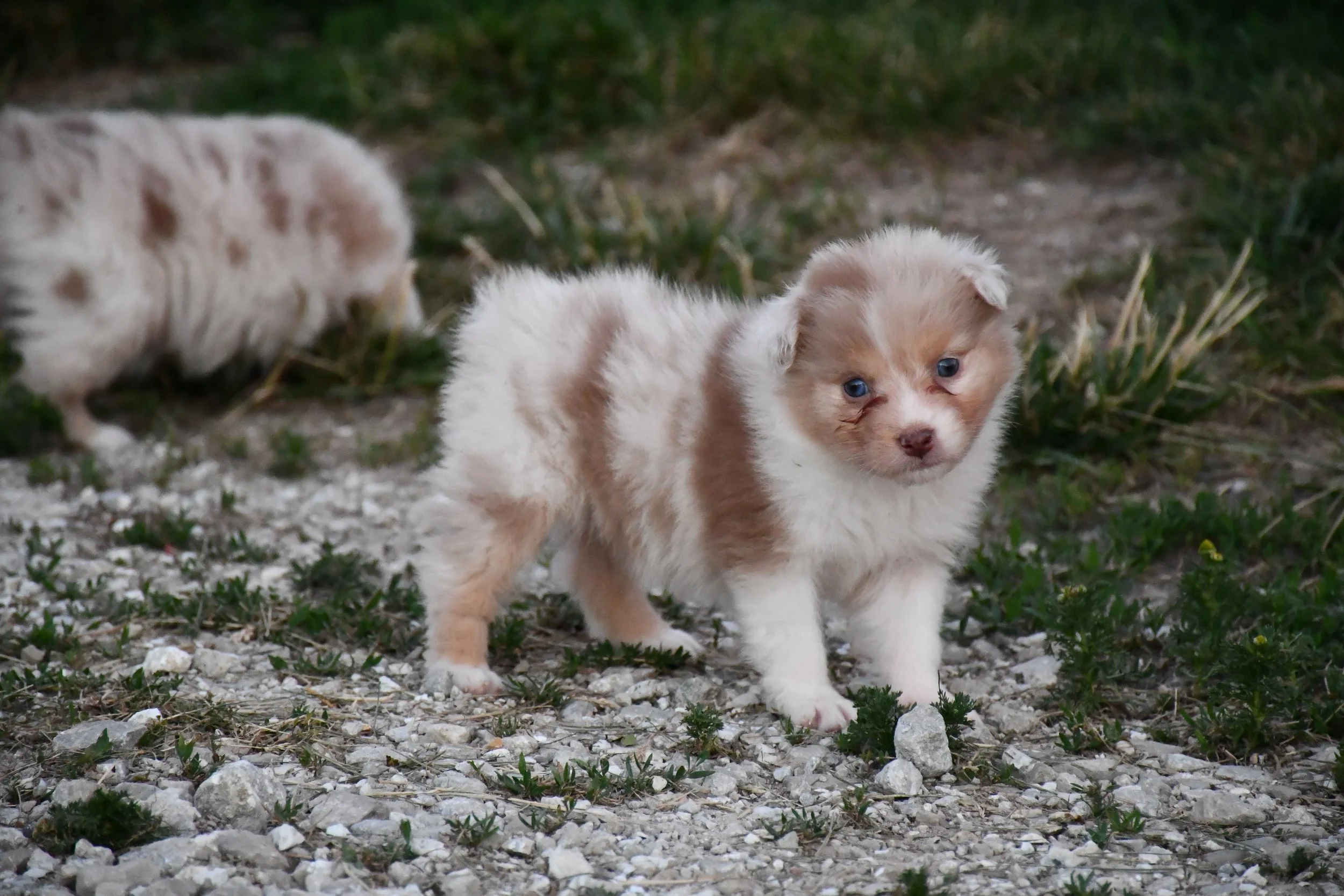 DSC_3887.JPG