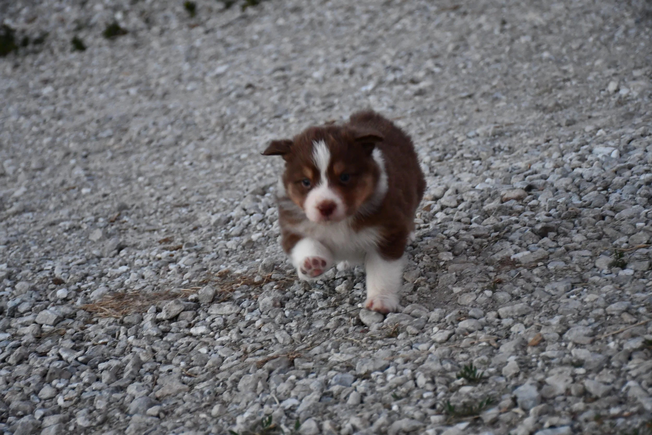 DSC_3874.JPG