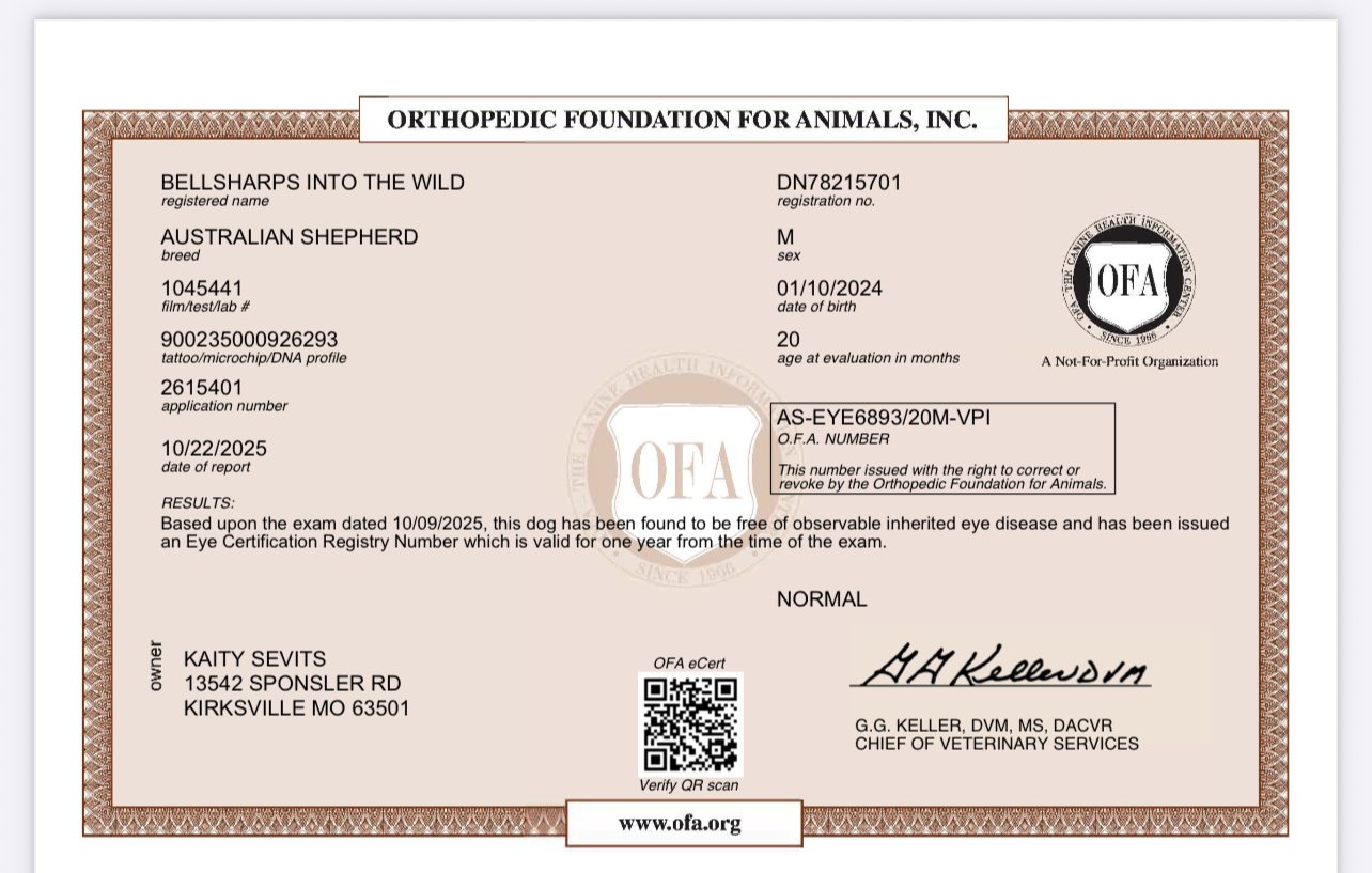 Health Testing & Pedigree