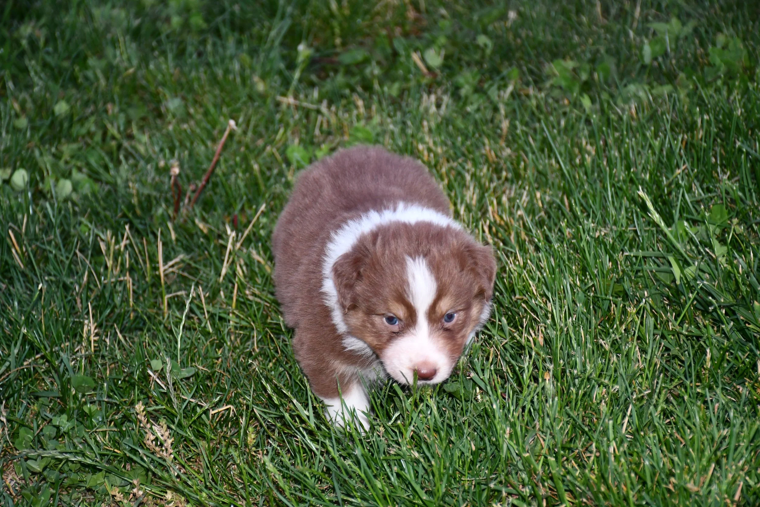 DSC_3858.JPG