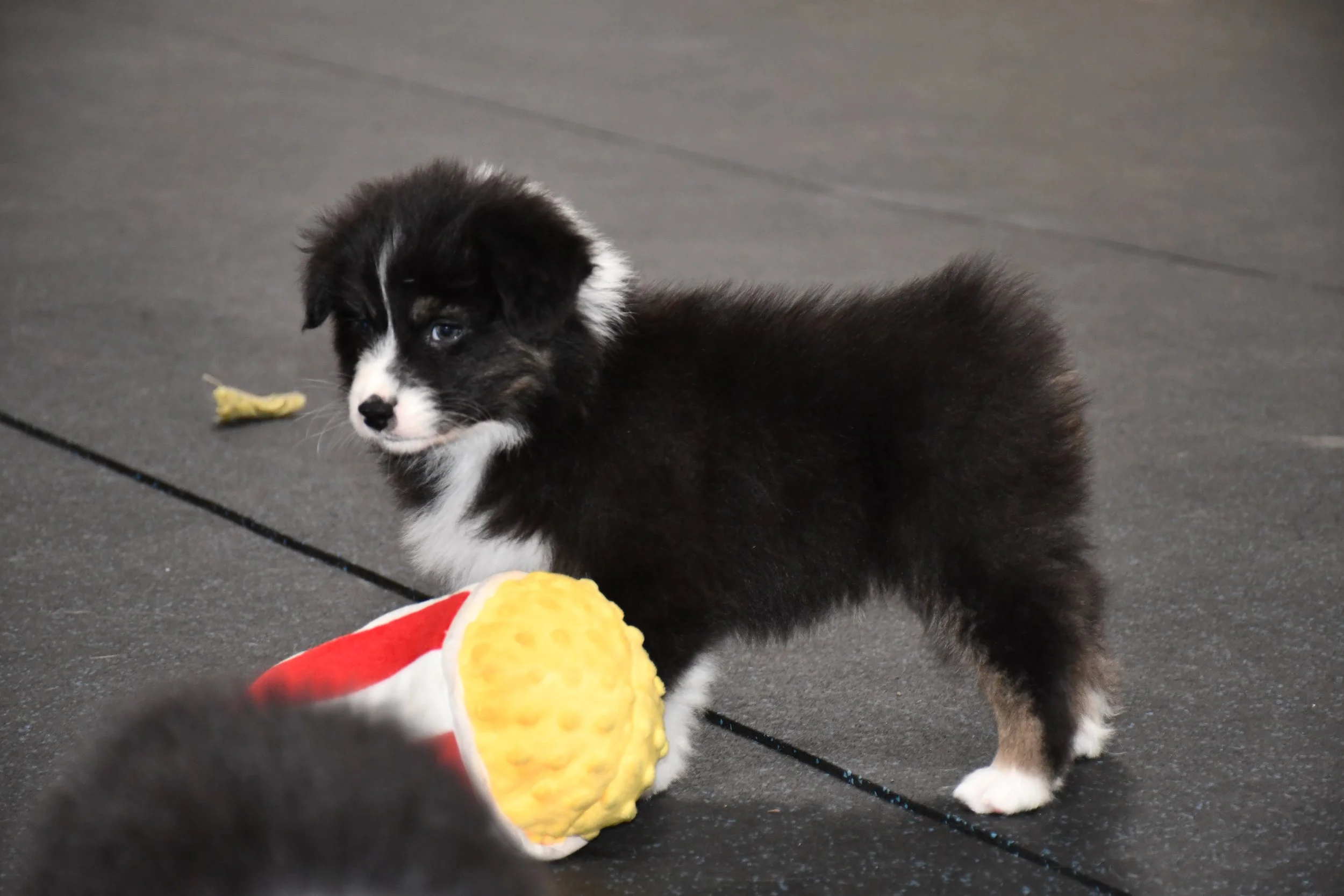 DSC_4642.JPG