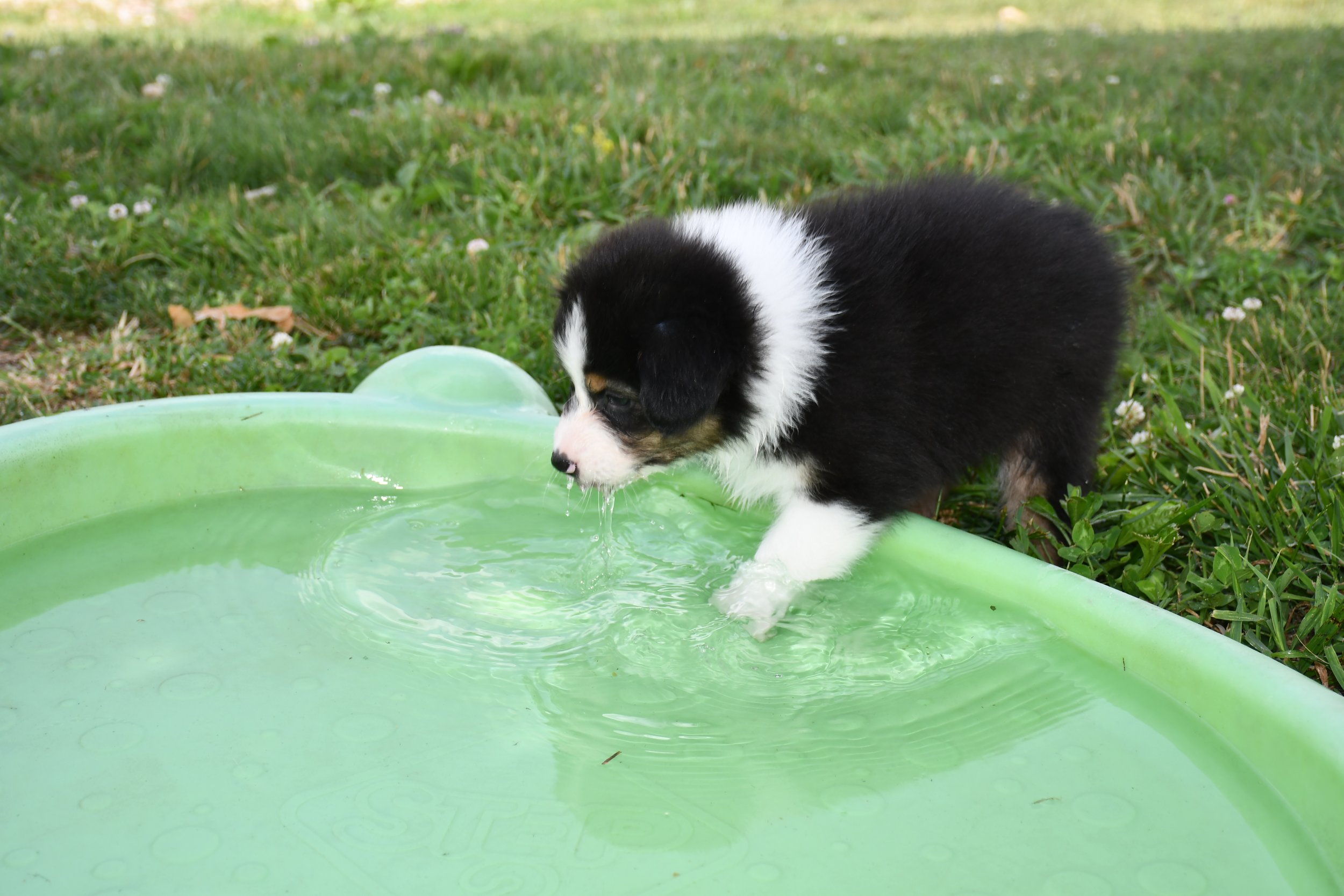 DSC_4465.JPG
