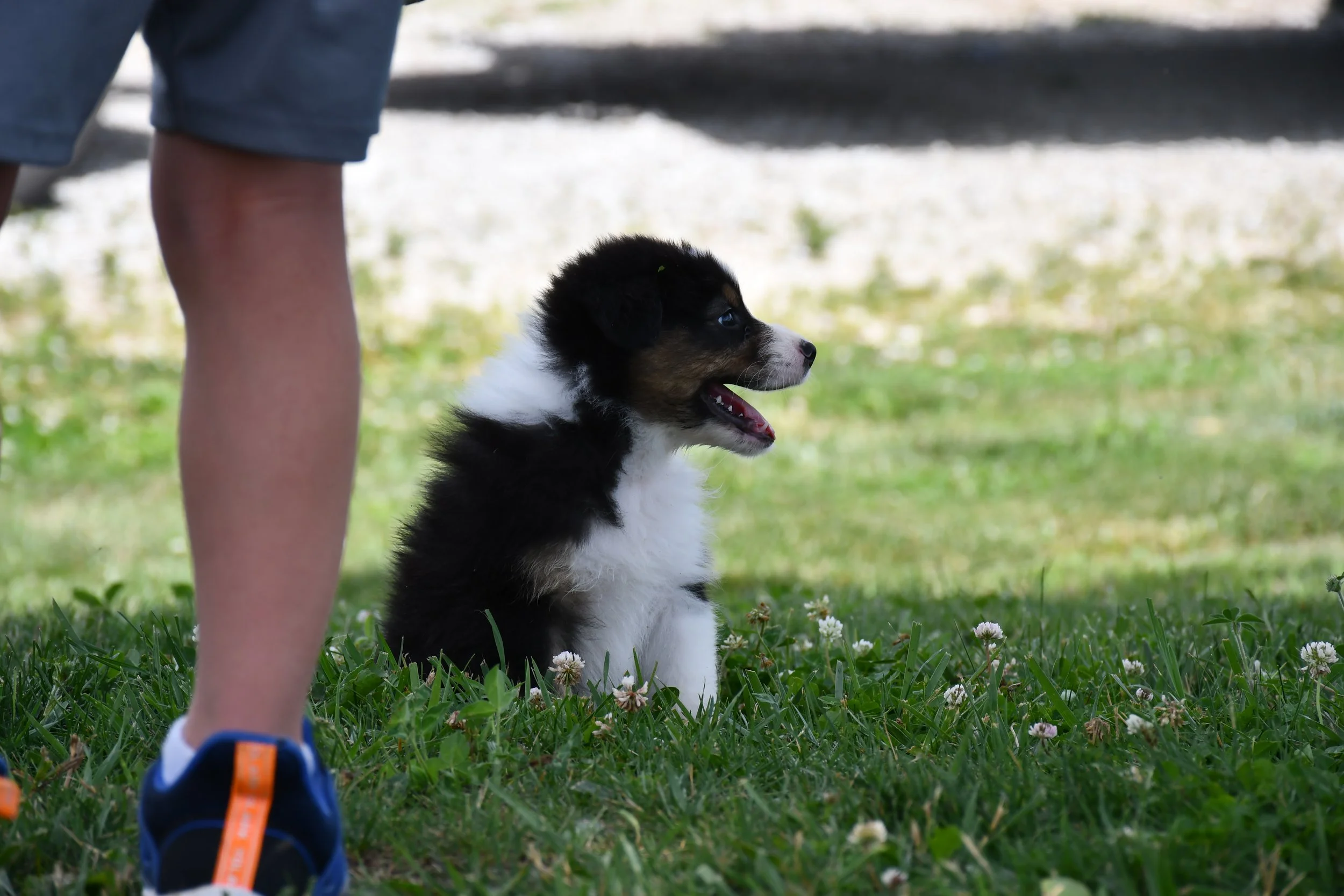 DSC_4567.JPG