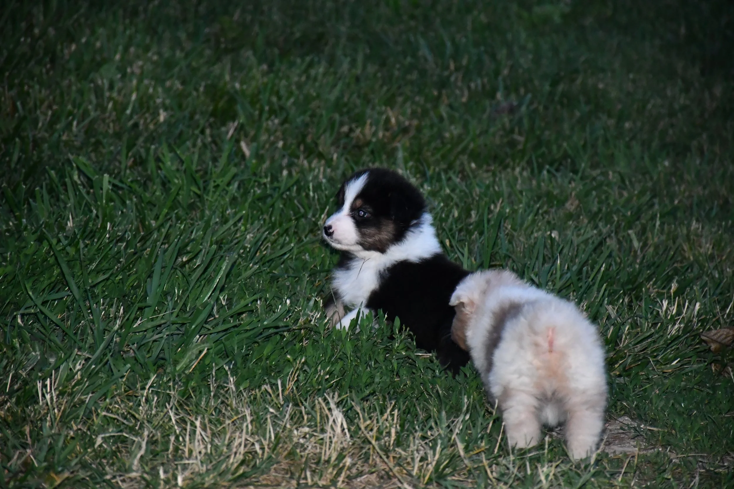 DSC_3969.JPG