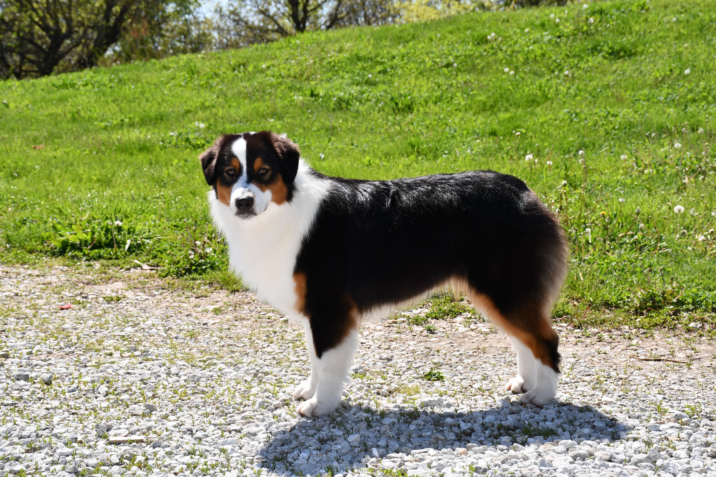 DSC_2526.JPG