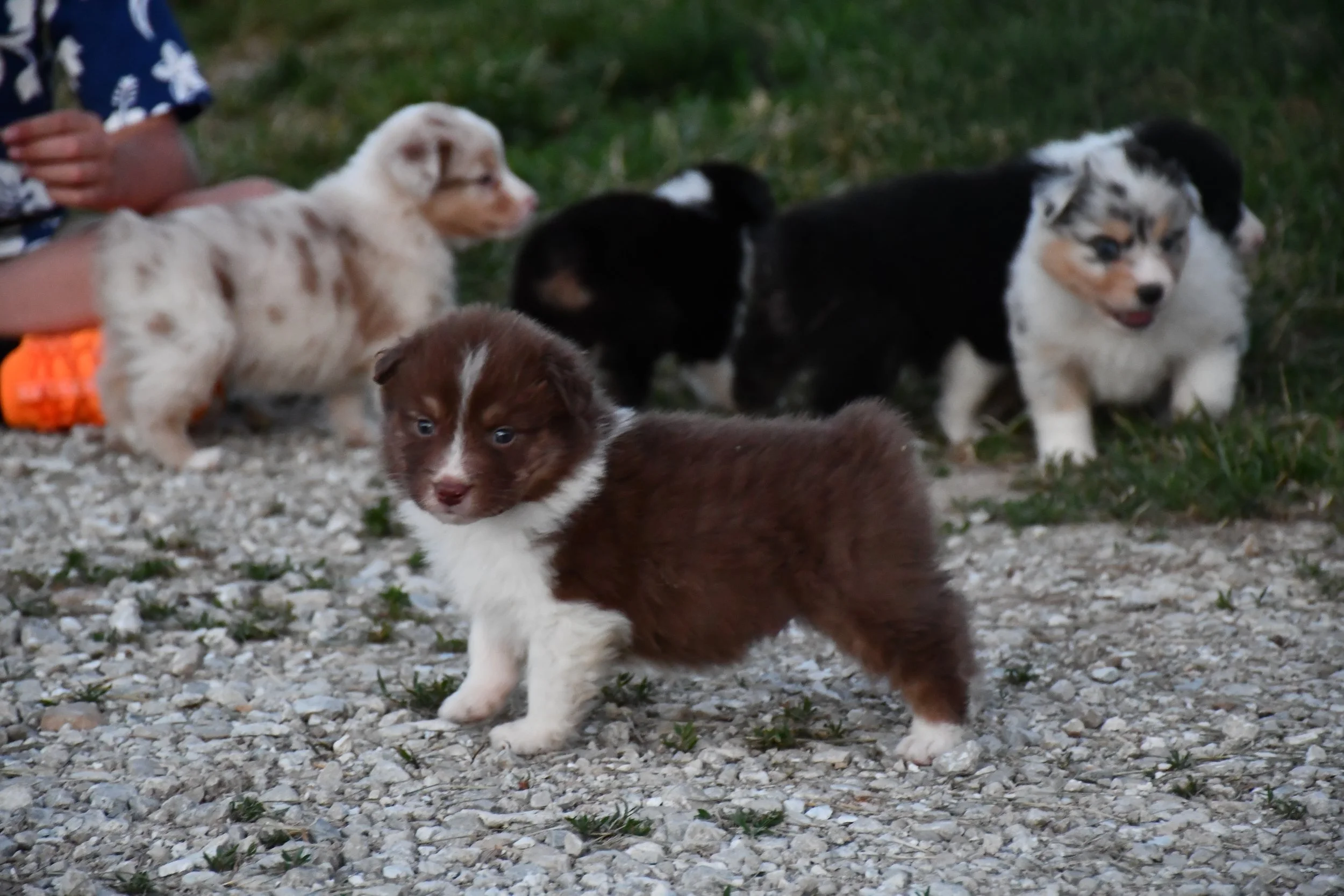 DSC_3931.JPG