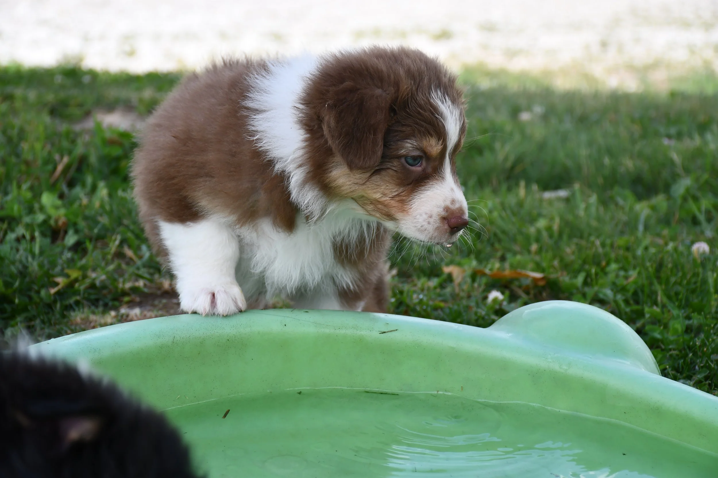 DSC_4483.JPG