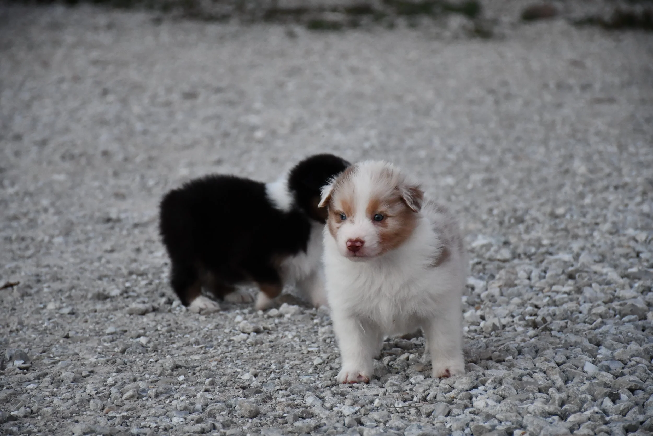 DSC_3908.JPG