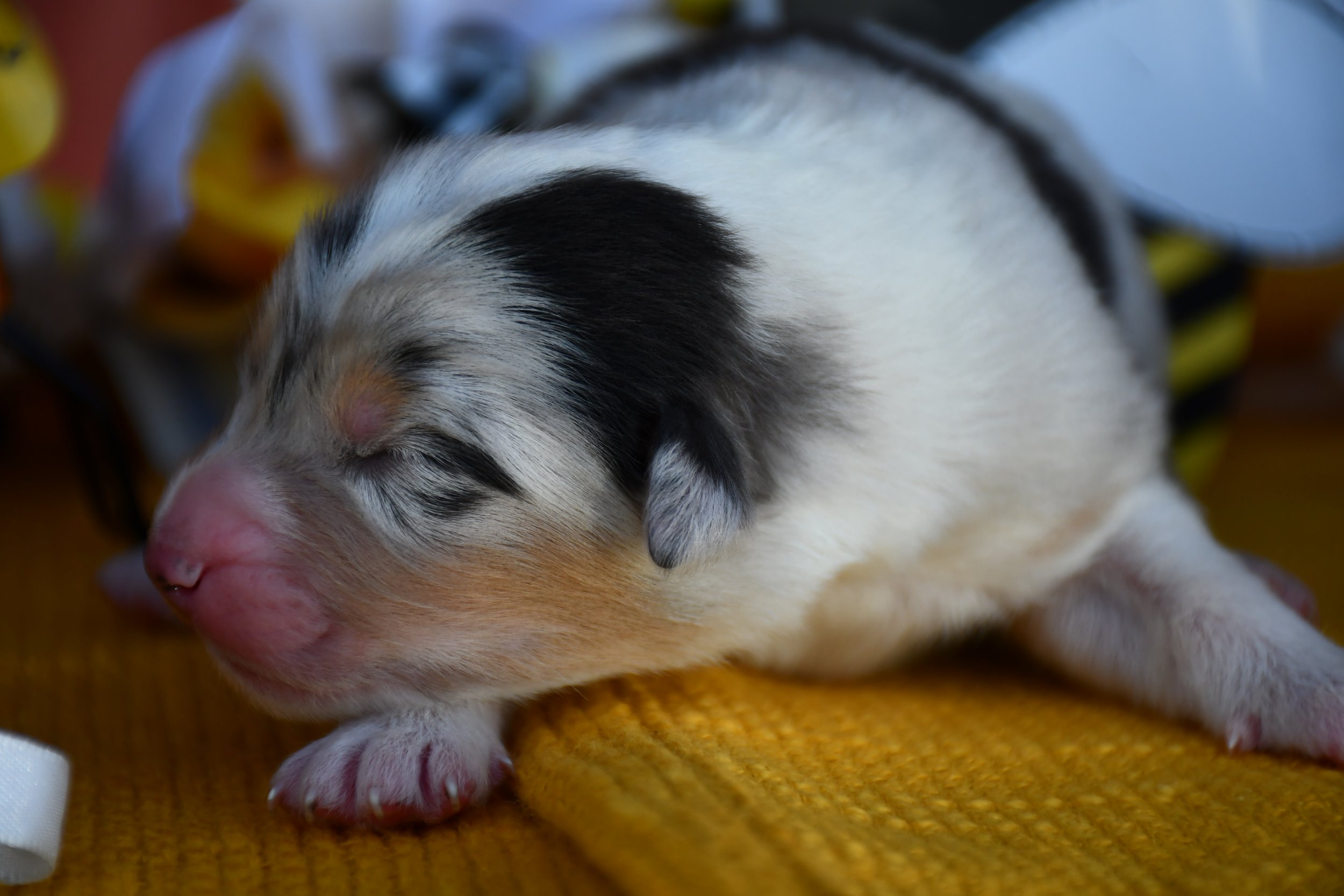 DSC_2576.JPG