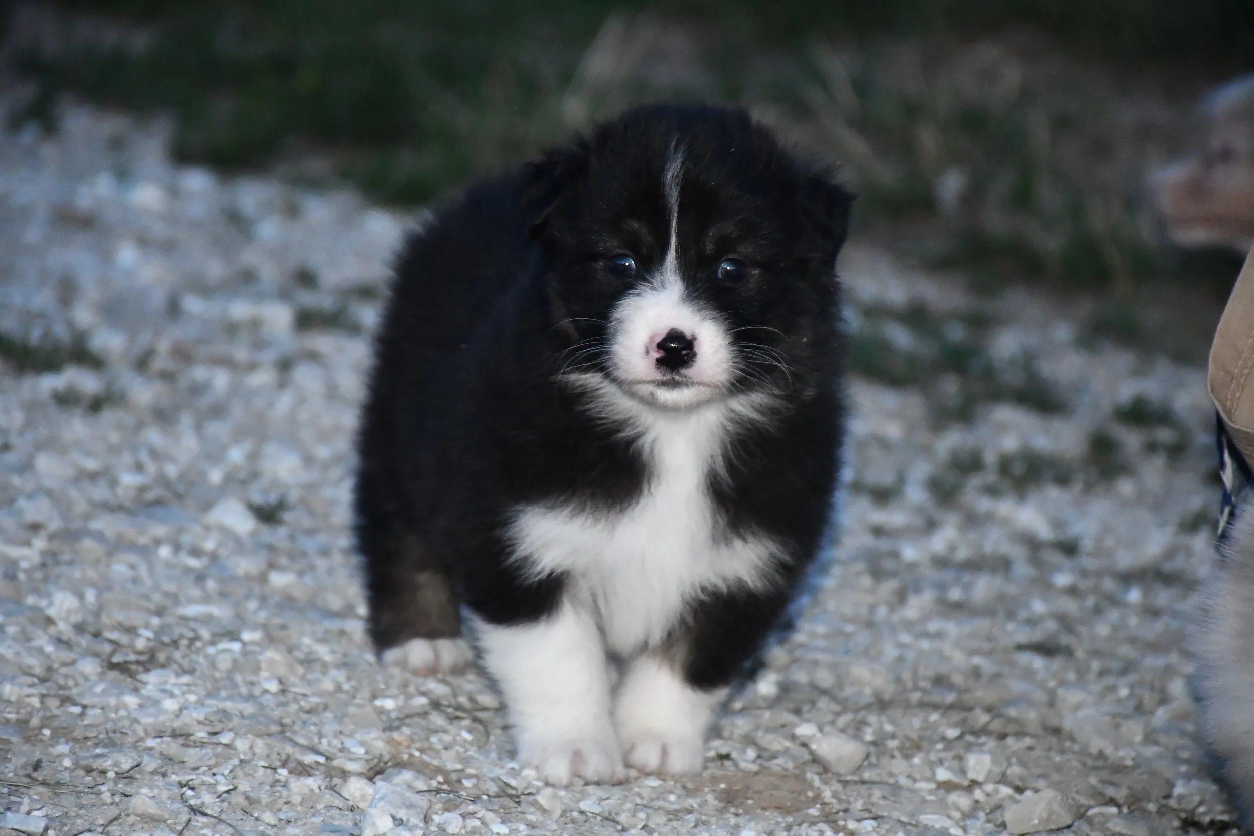 DSC_3962.JPG