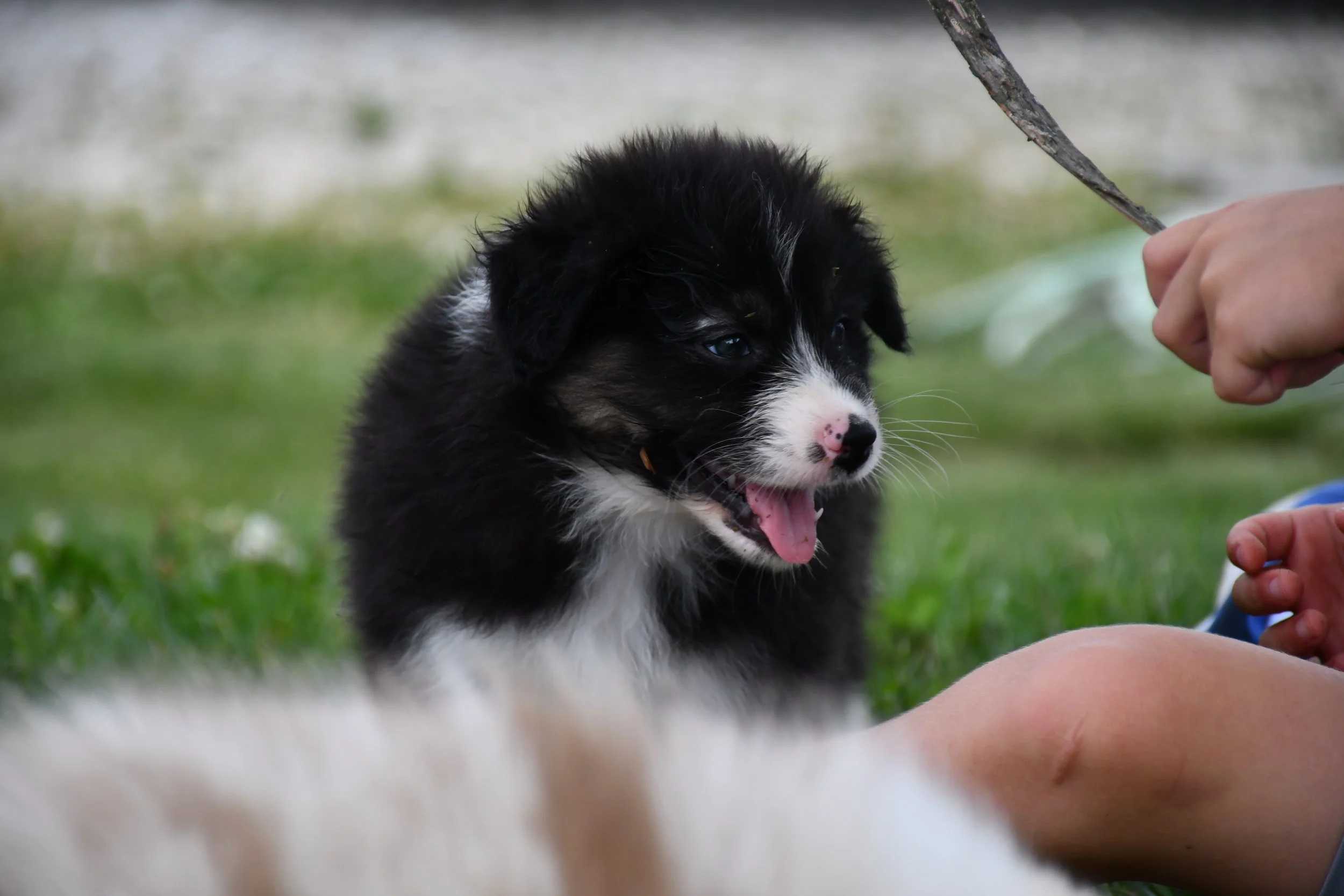 DSC_4562.JPG