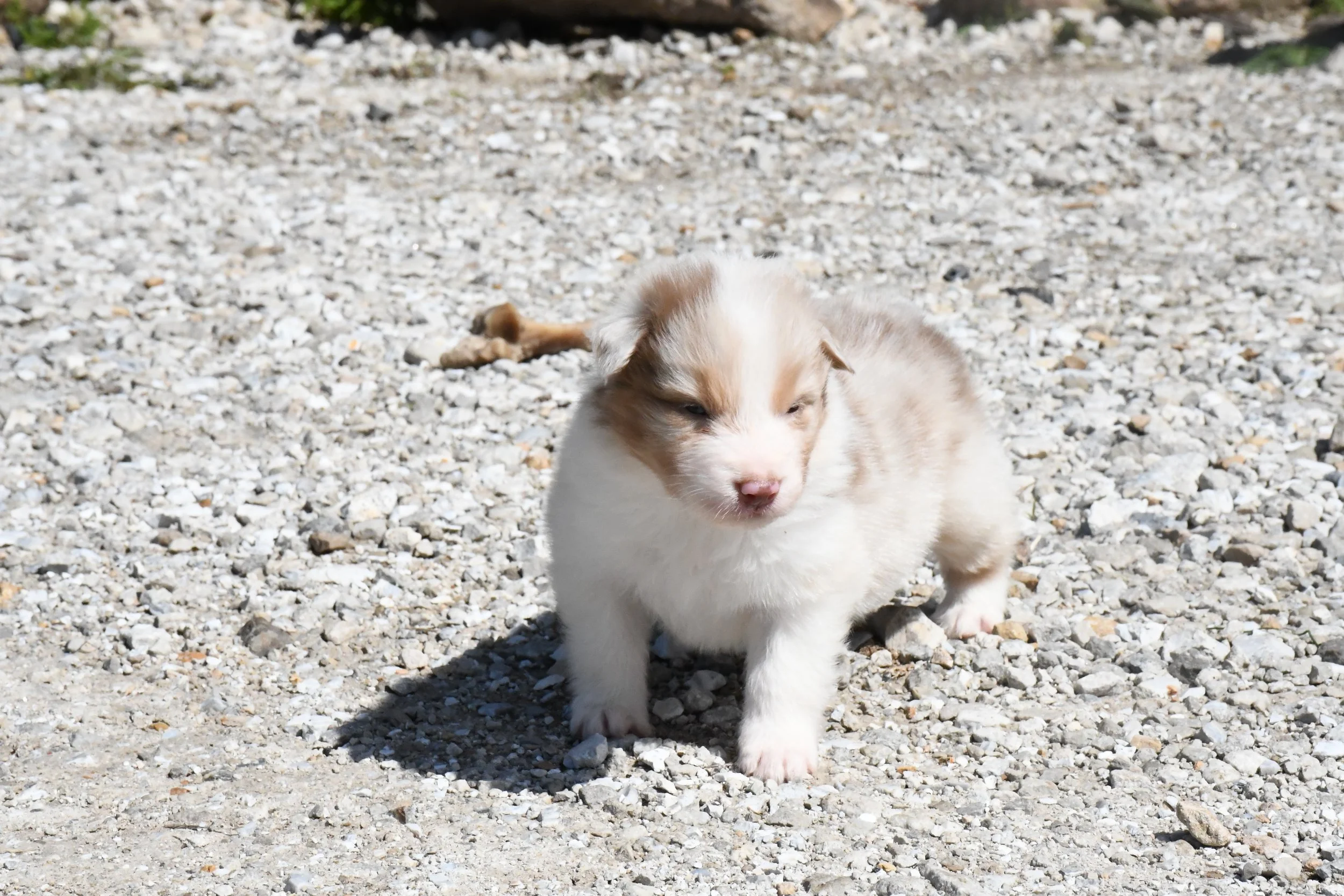 DSC_3678.JPG